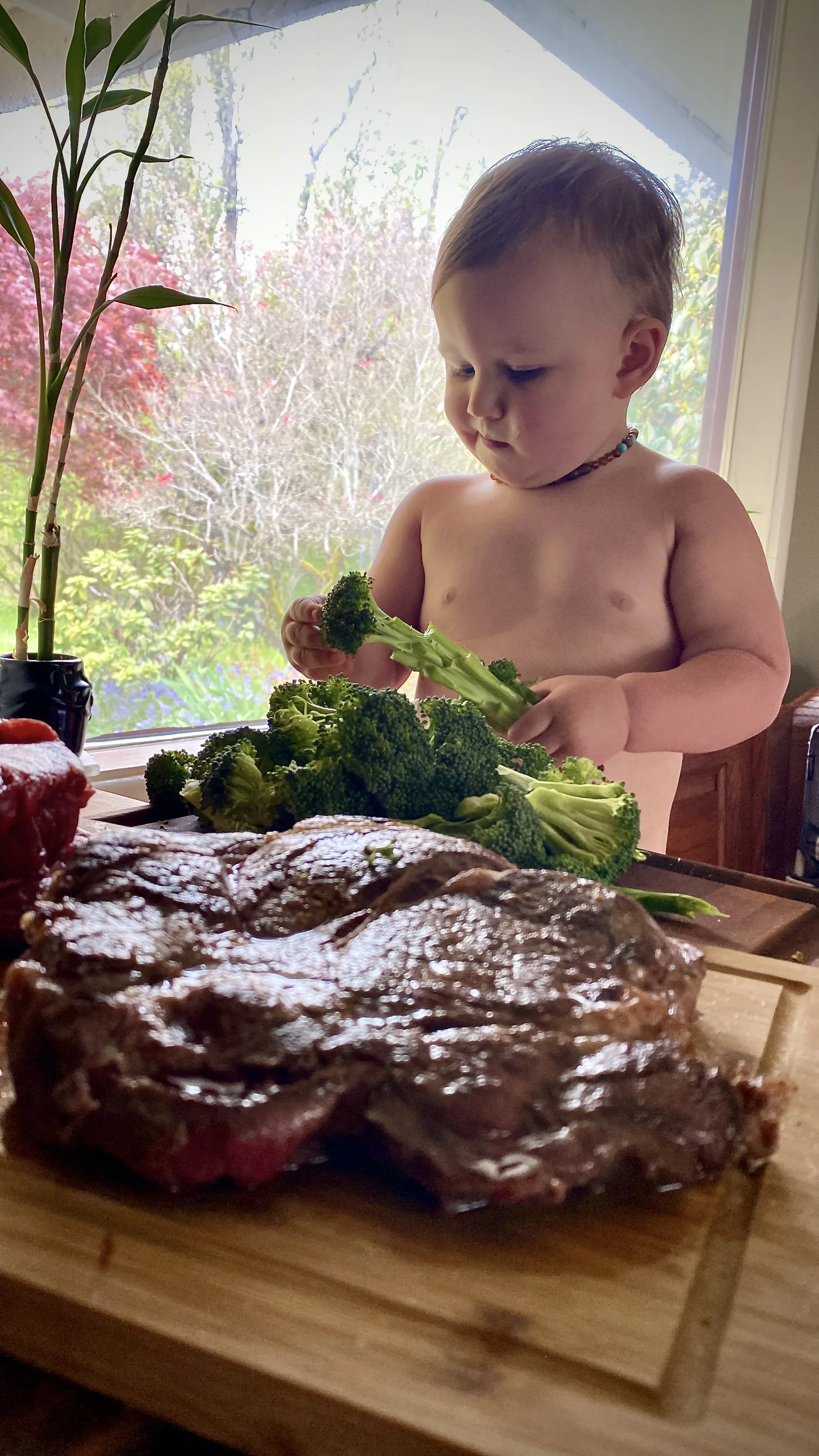 Auggiew Broccoli and Steak.JPG