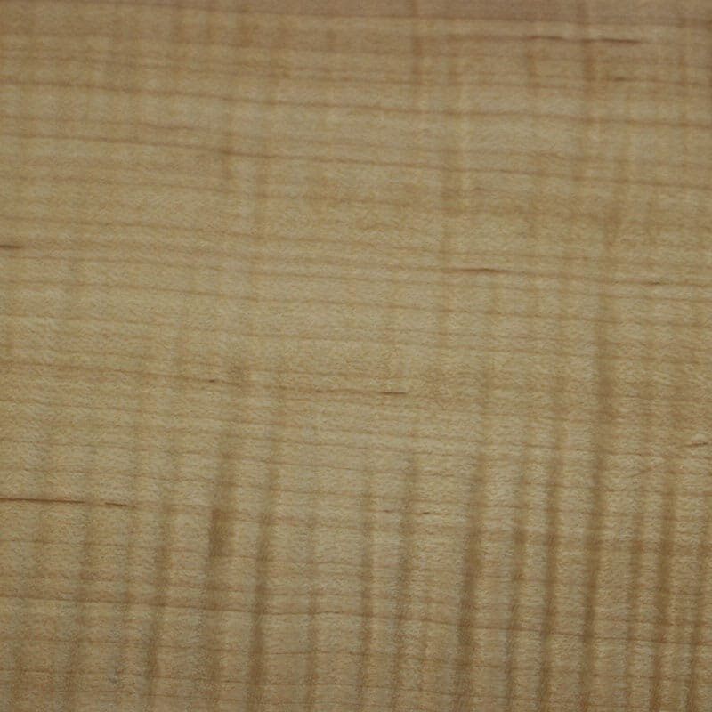 Curly Maple