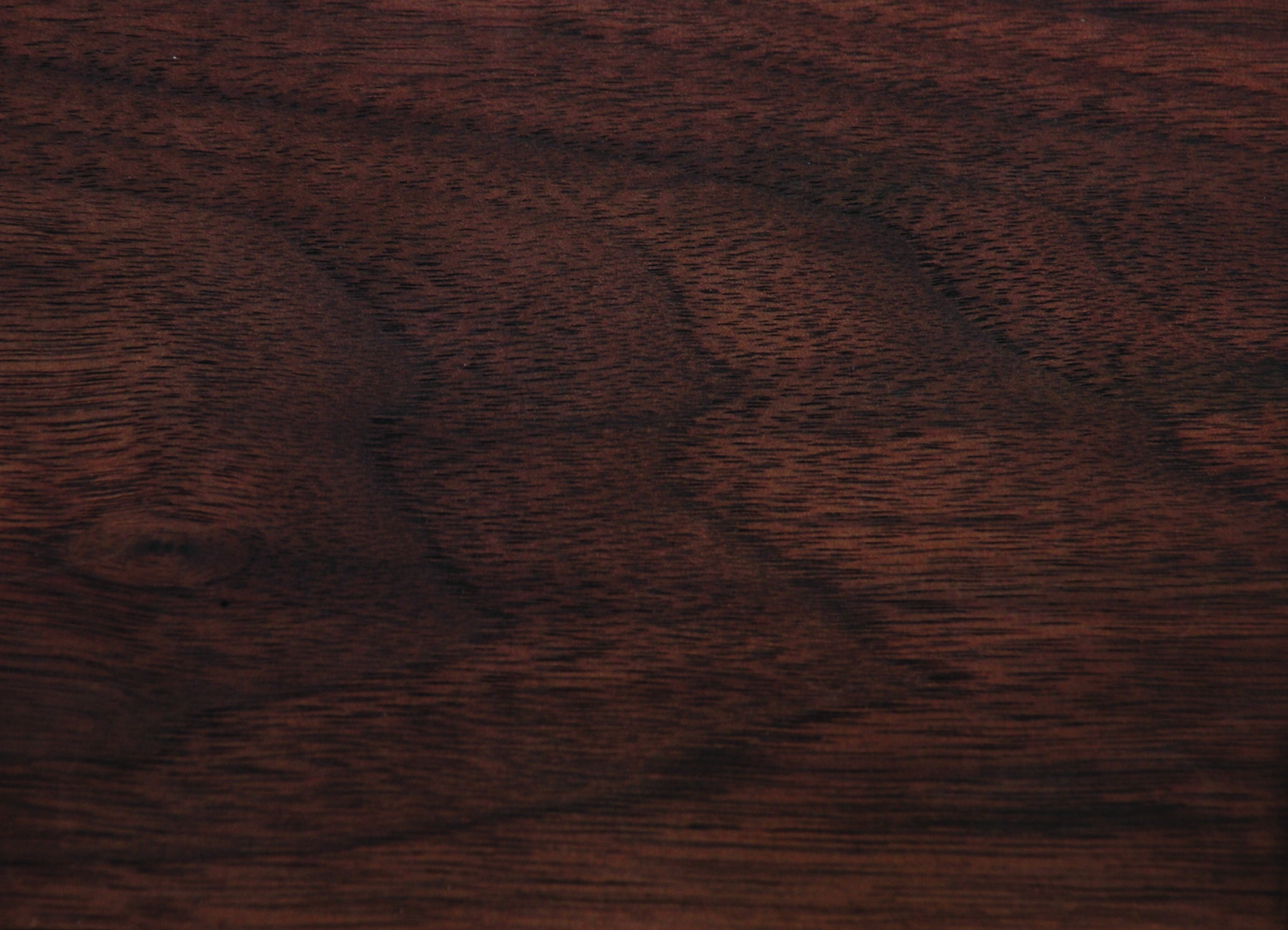 American Black Walnut