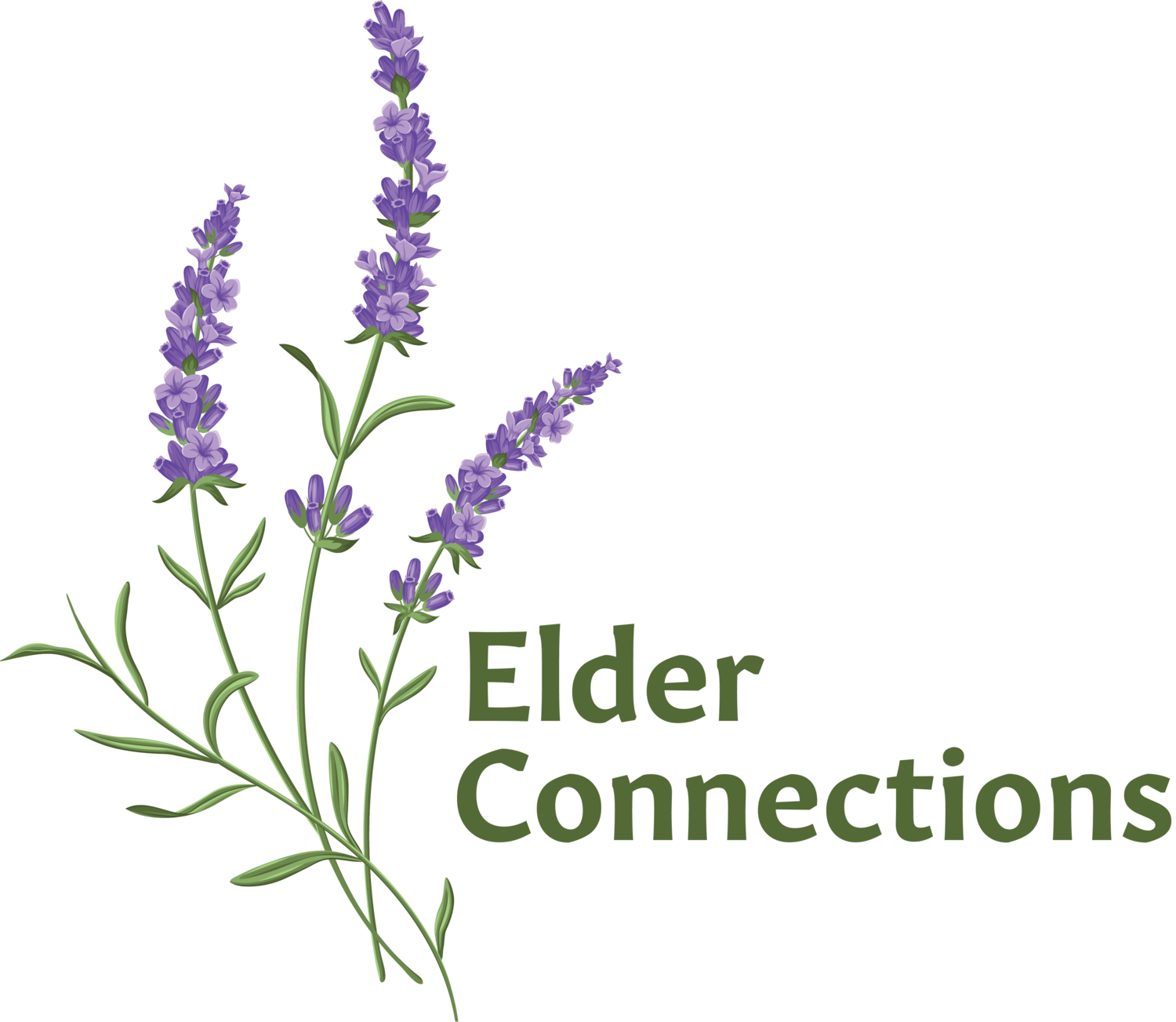 Elder Connections