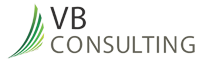 VB Consulting&#39;s Website