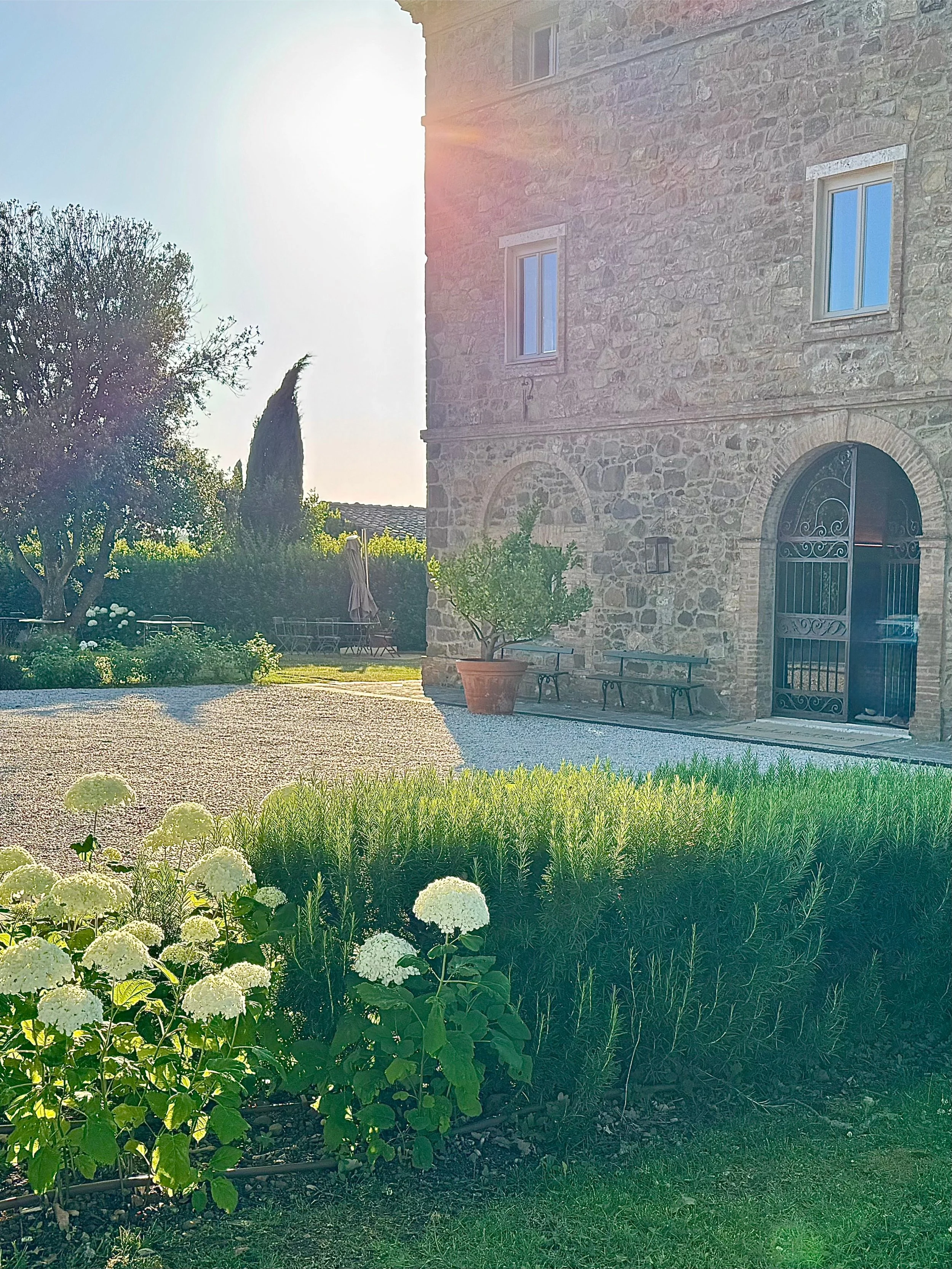 TheMorningGarden_3x4.jpg.jpg