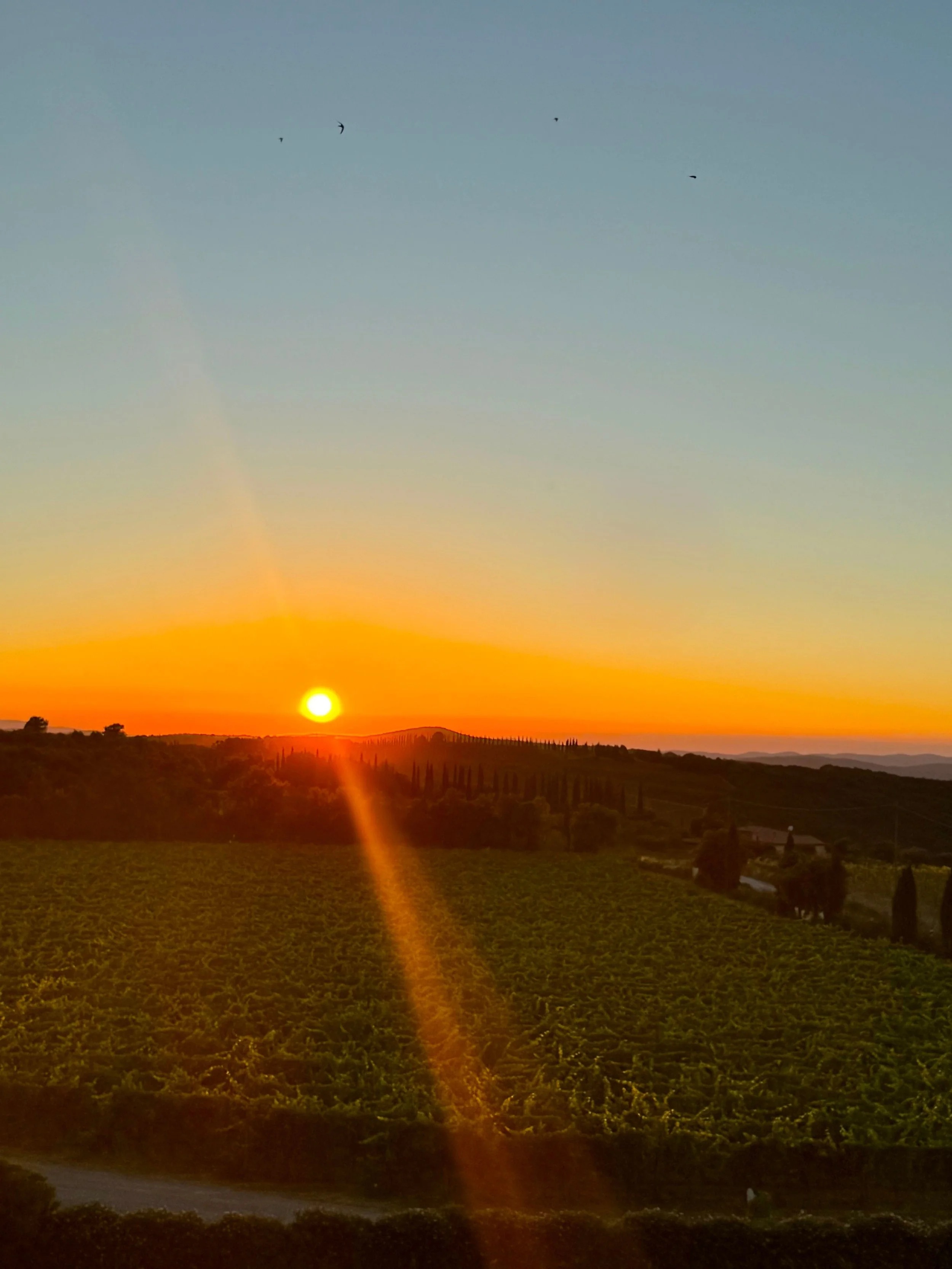 The Golden Hour — Fine Art Digital Print | Moments in Tuscany, Collection 01