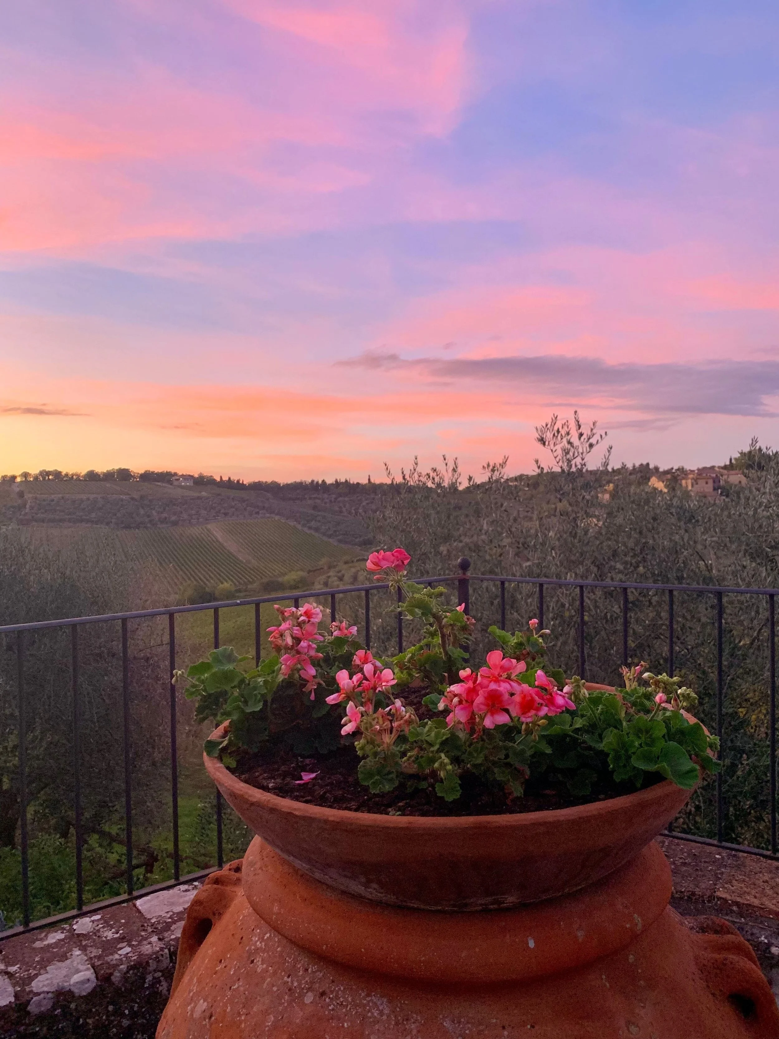 The Evening Unwined — Fine Art Digital Print | Moments in Tuscany, Collection 01