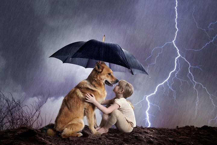 Why Safe Room Is a Necessity for Your Home?