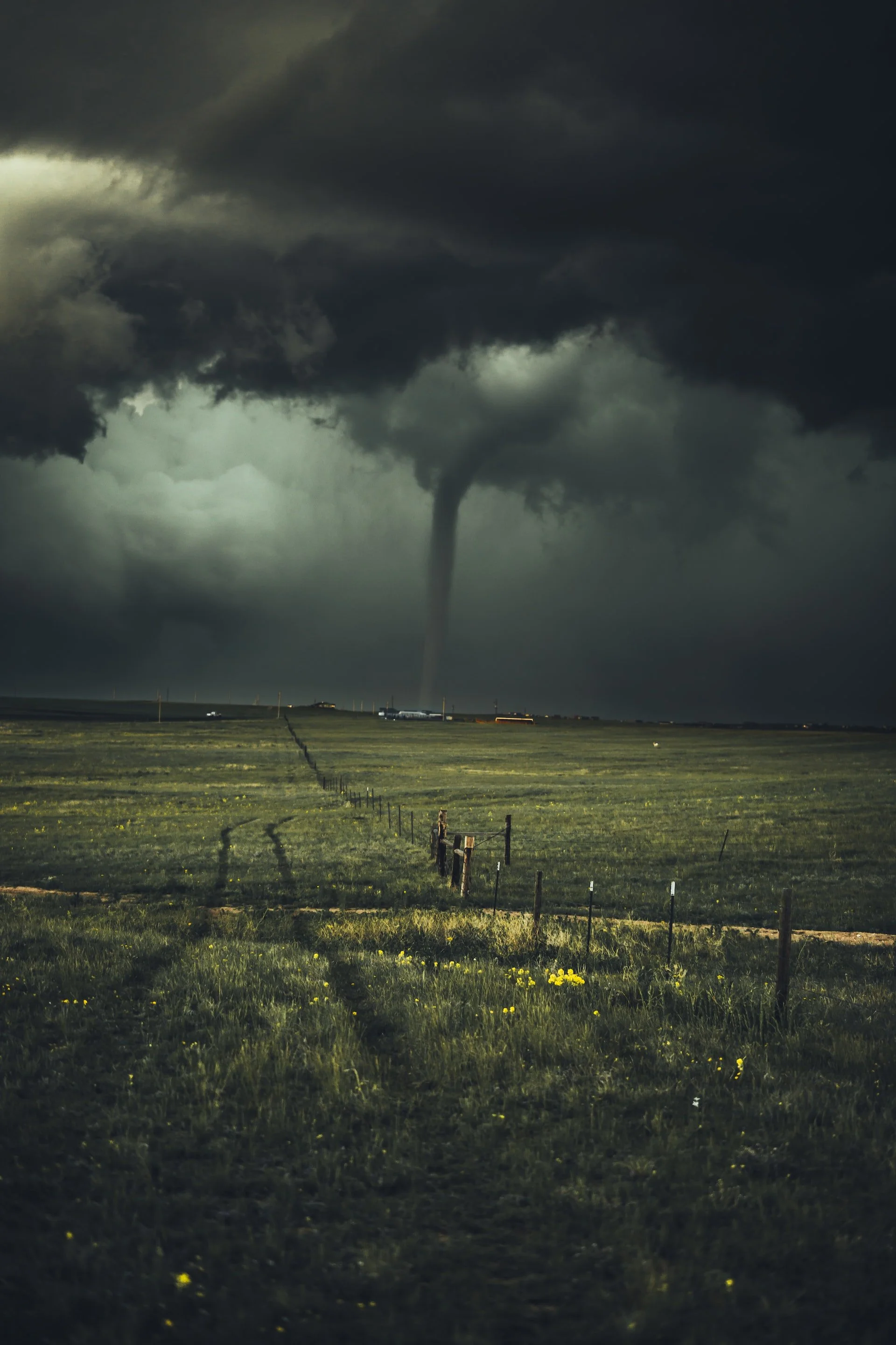 Essential Things You Need in Your Storm Shelter