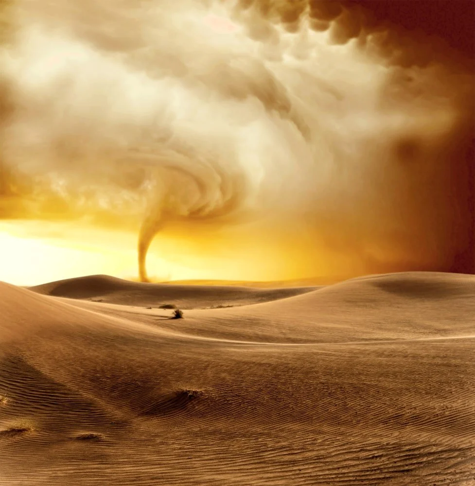 Surviving the Storm: Is a Tornado Shelter Your Best Defense?