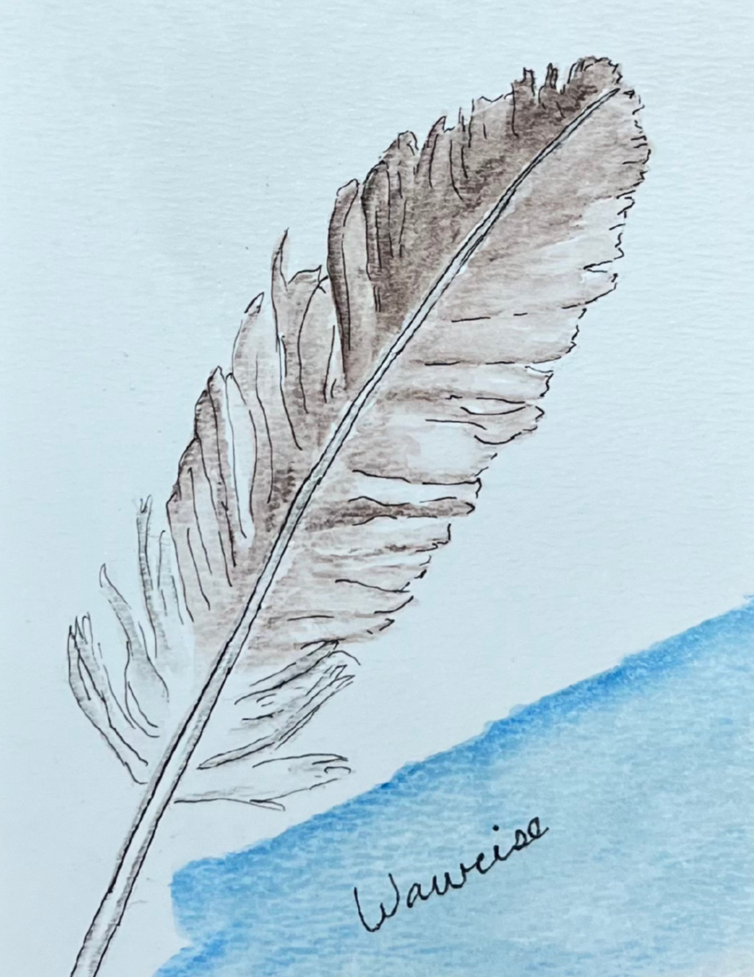 Eagle Feather 2.png