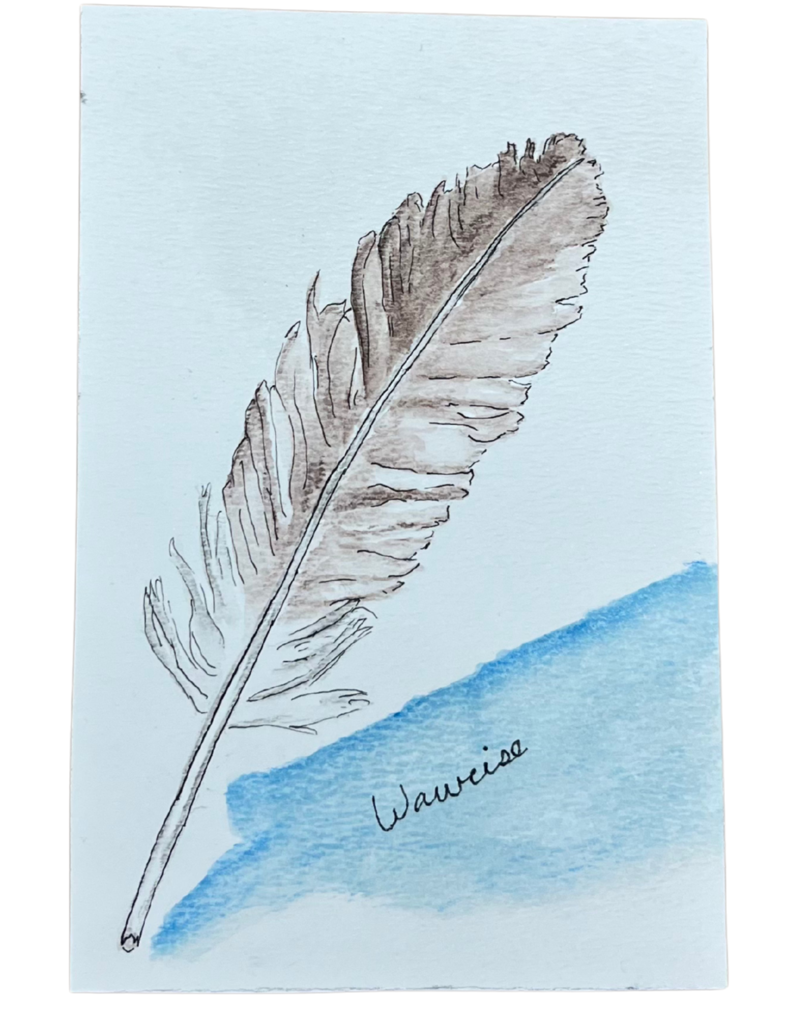 Eagle Feather 1.png