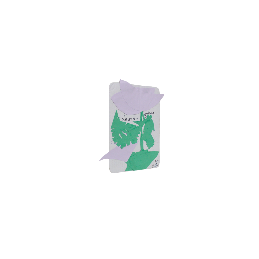 Shirin Yoku_ Beth.png
