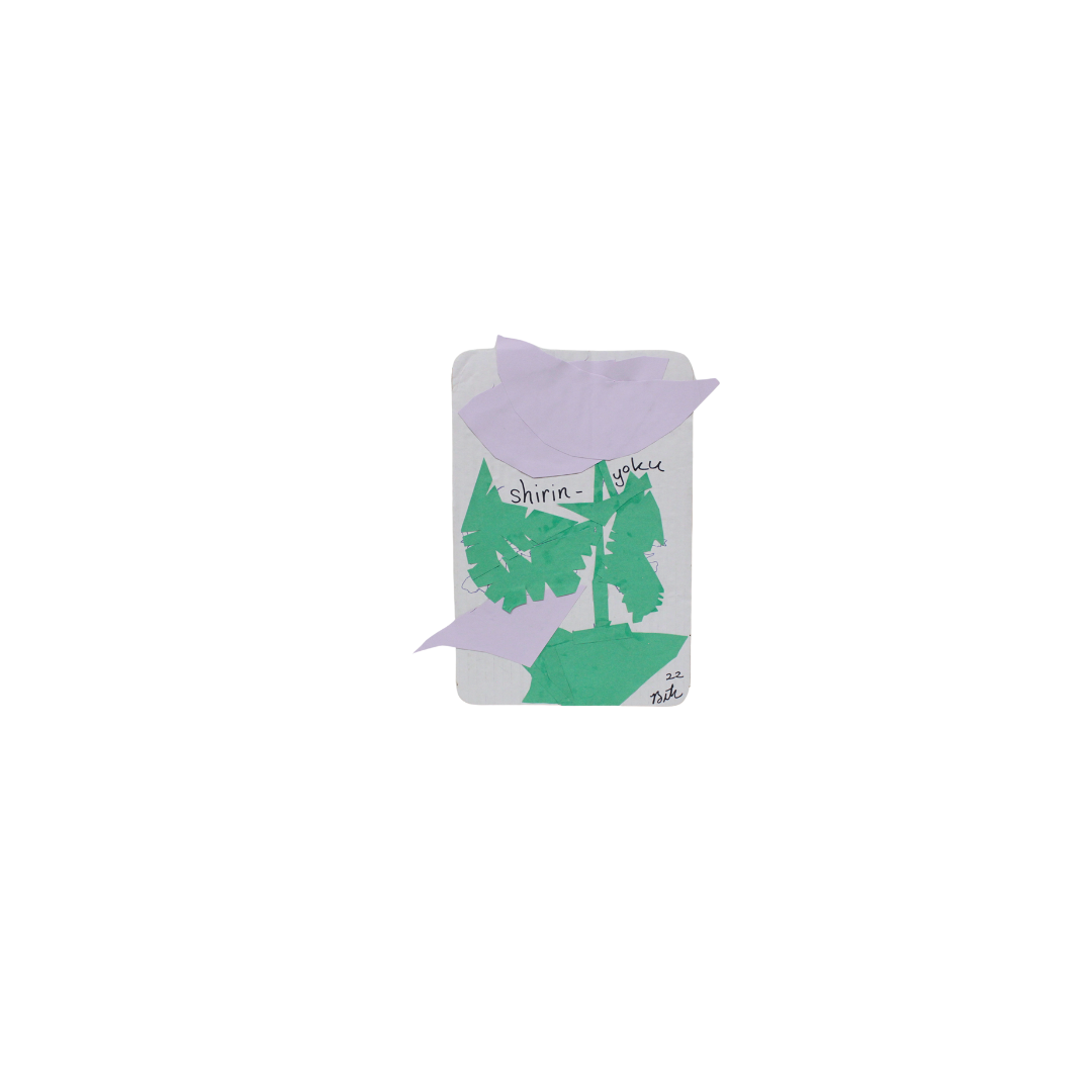 Shirin Yoku_ Beth (2).png