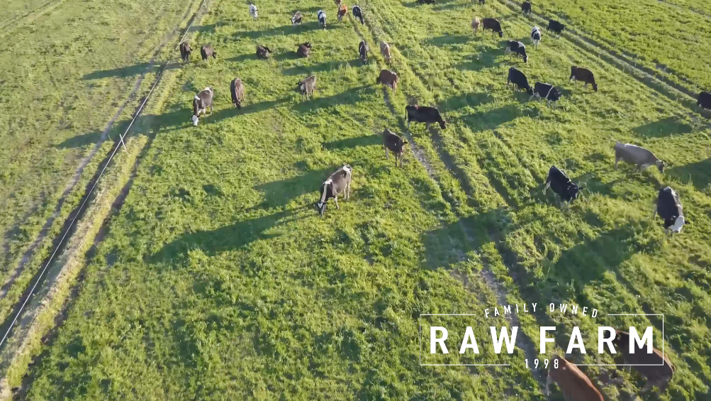 How Our Raw Dairy is Going Above &amp; Beyond For Quality and Standards