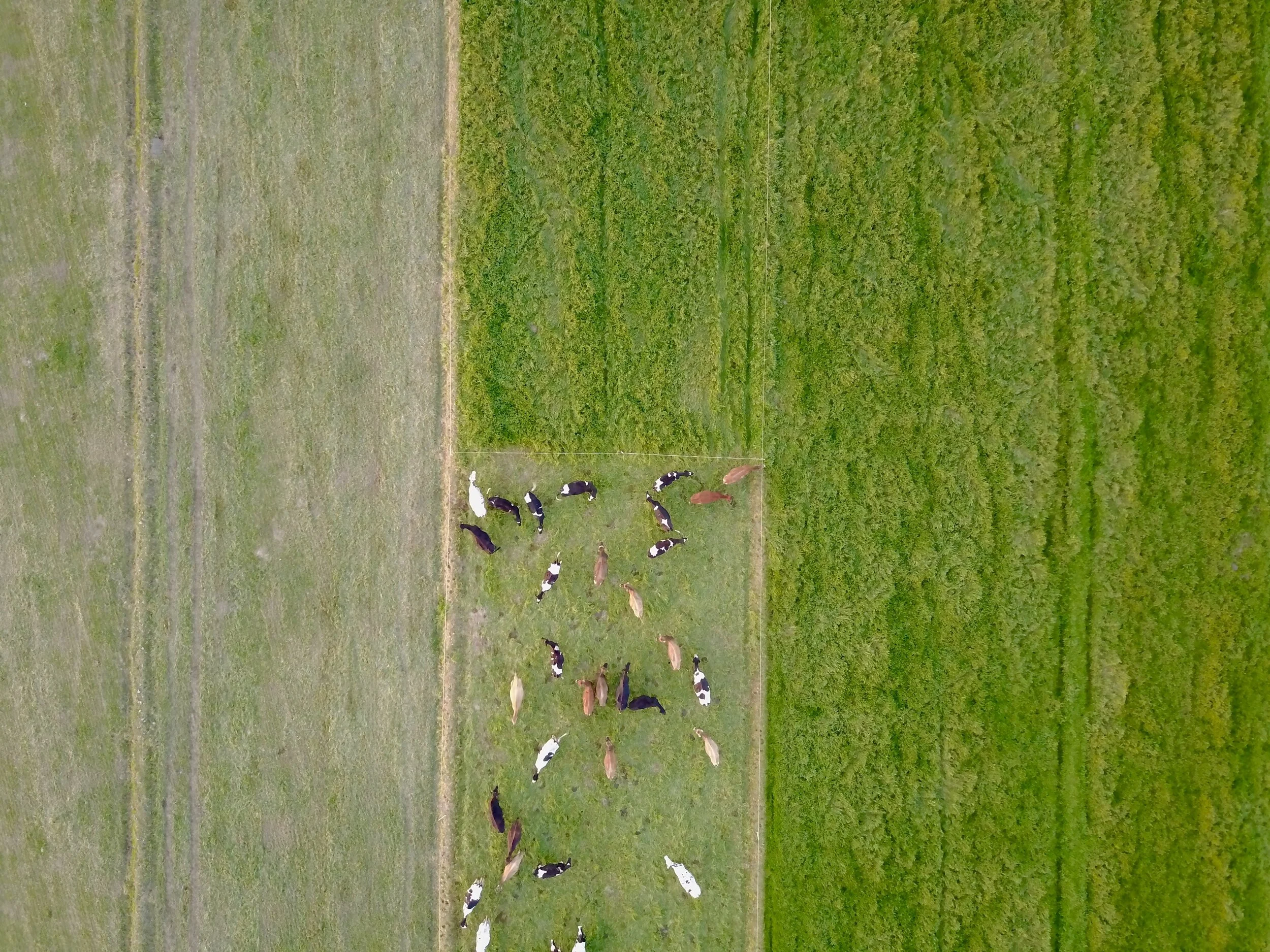 HOW UNIQUE IS RAW FARM?