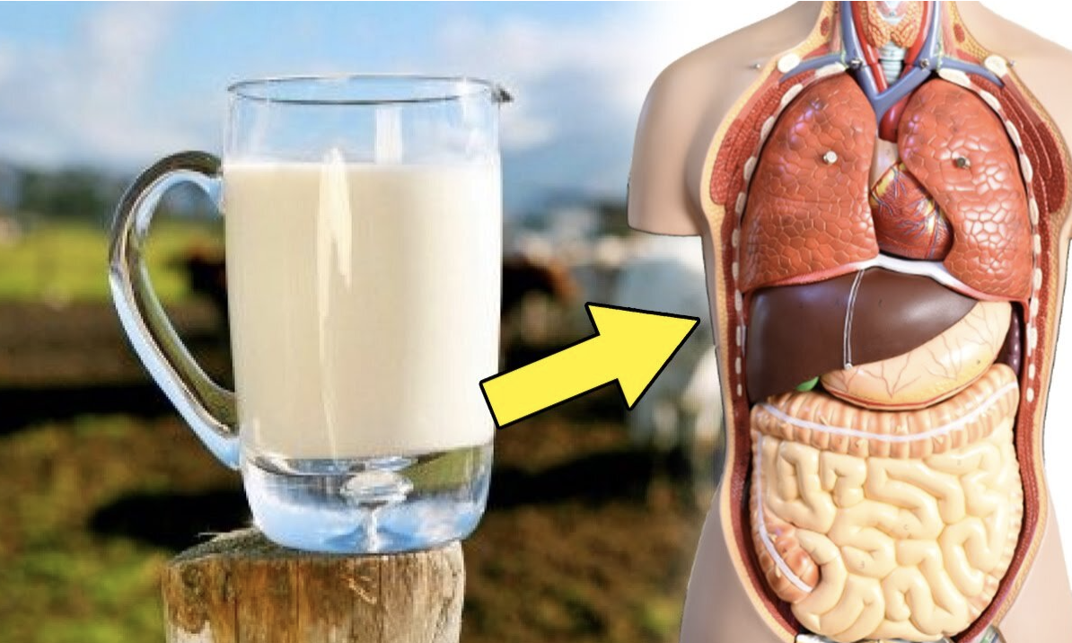 IF YOU DRINK RAW MILK EVERY DAY THIS MIGHT HAPPEN TO YOUR BODY