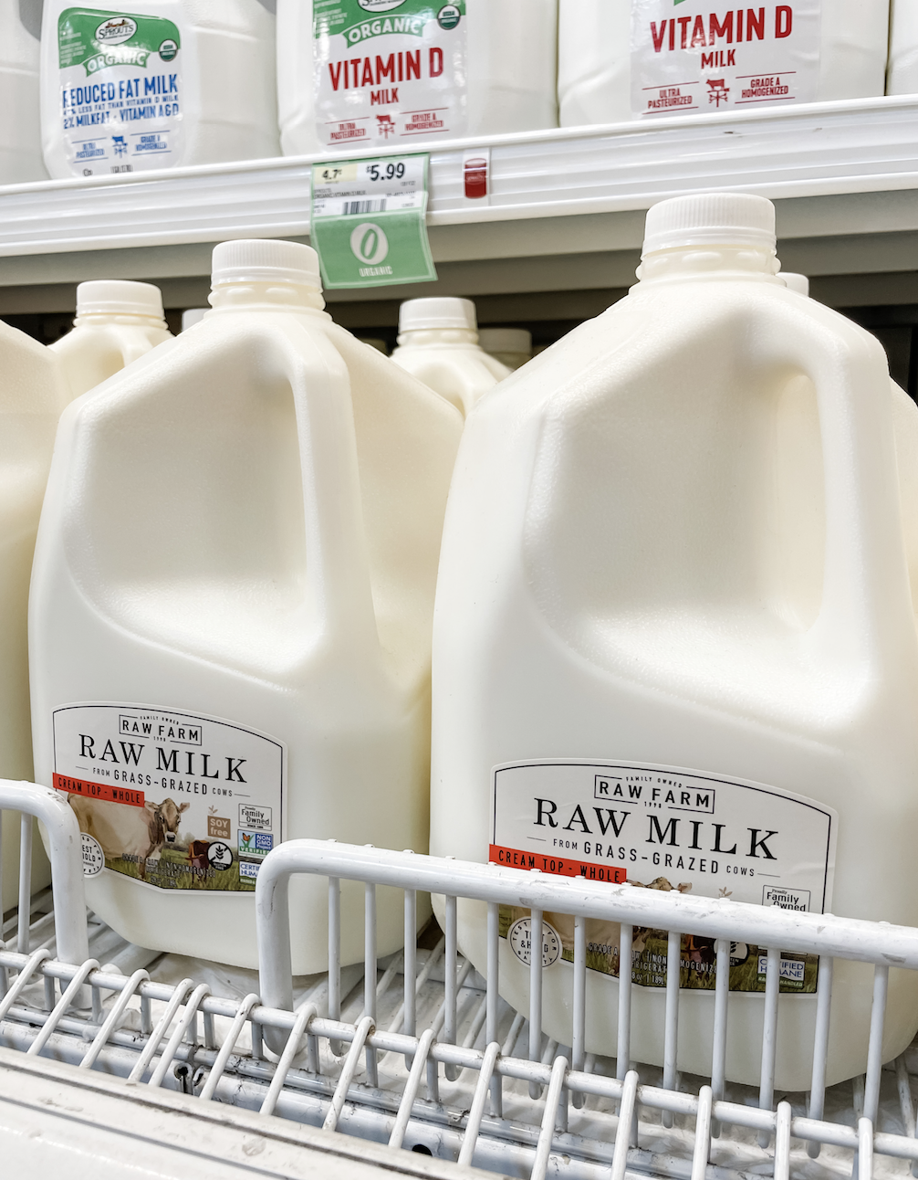 HAPPY WORLD MILK DAY: THE BENEFITS OF RAW MILK