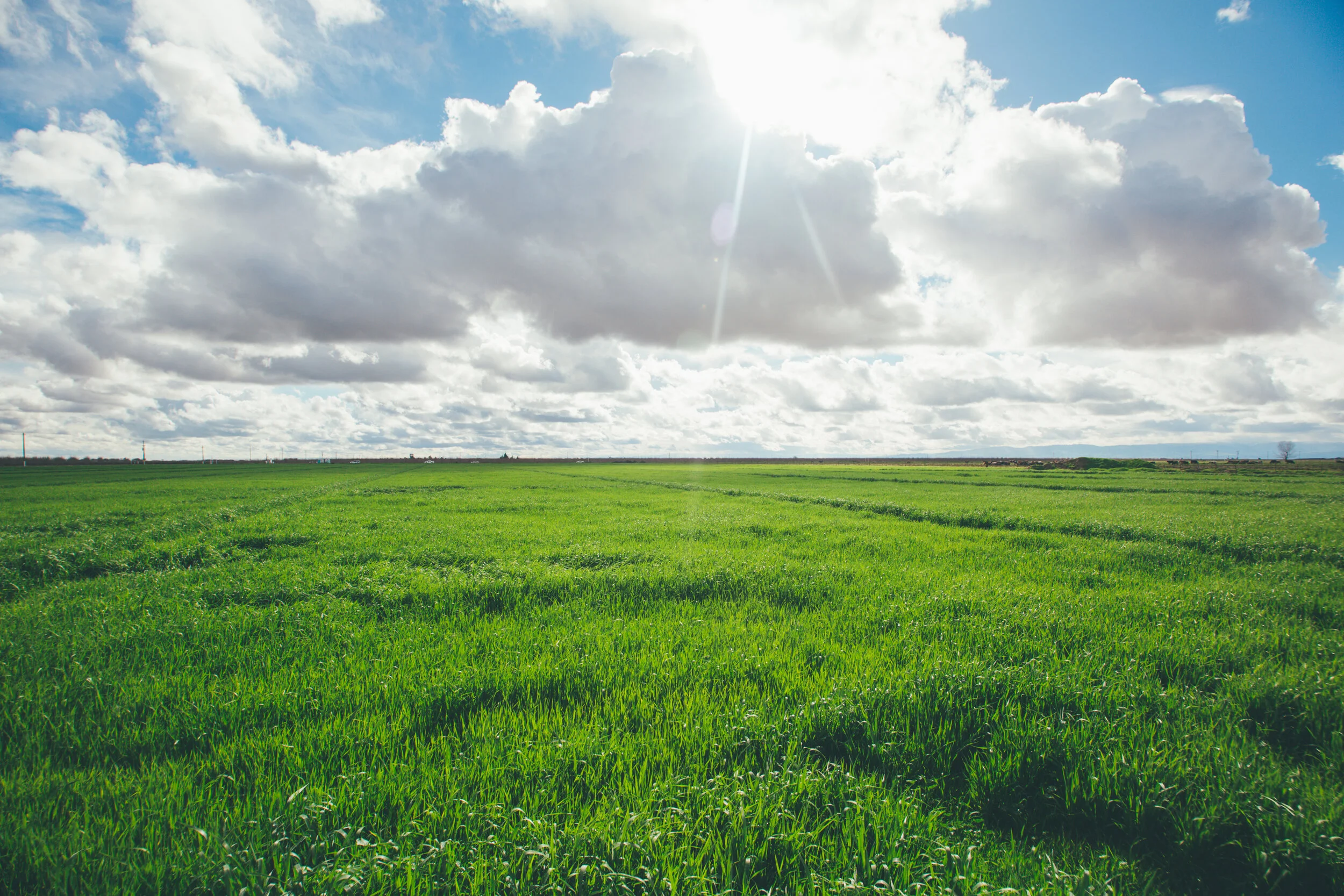 RAW FARM Land Farming Practices