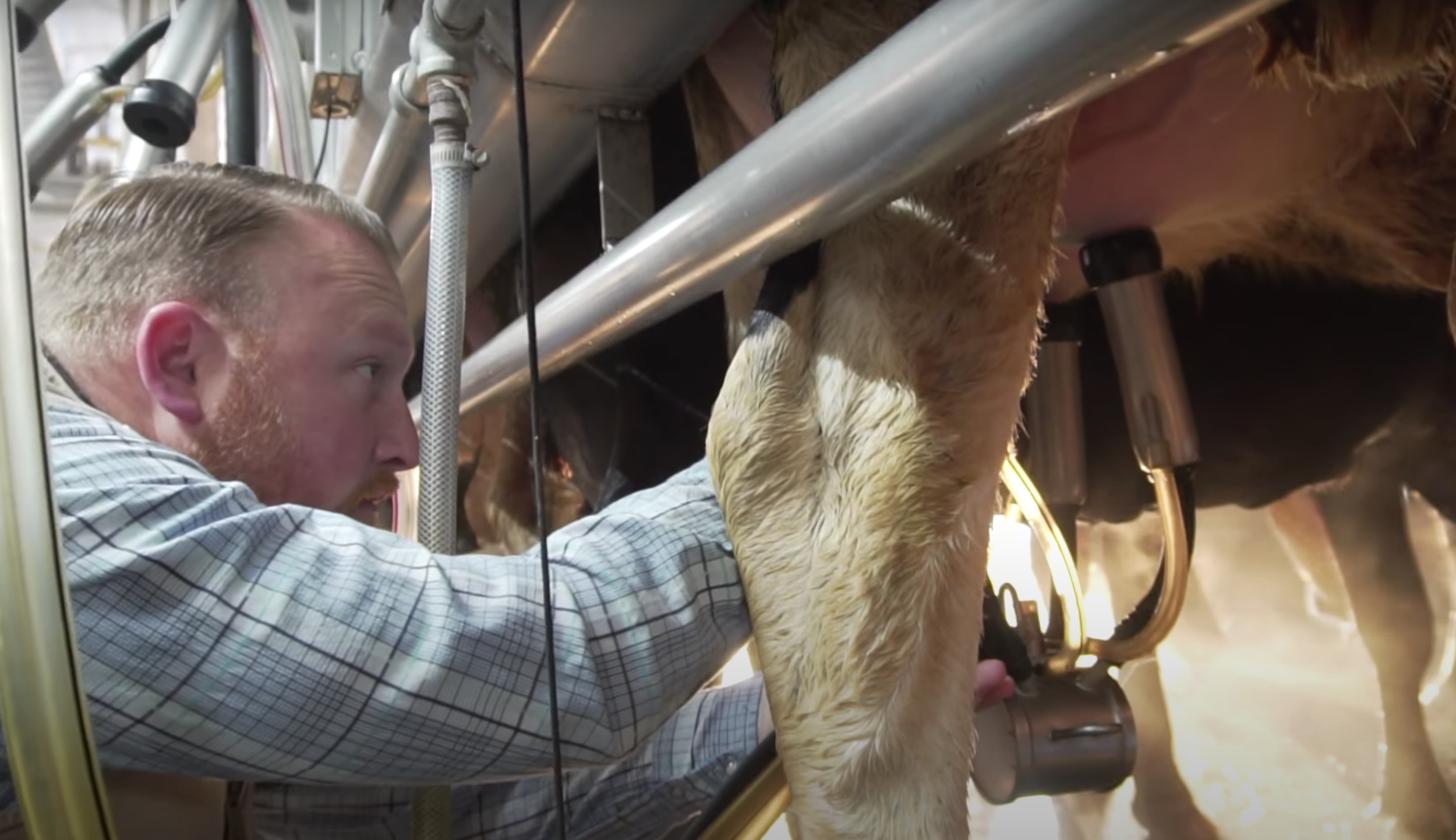 LEARN ABOUT OUR UNIQUE MILKING PROCESS
