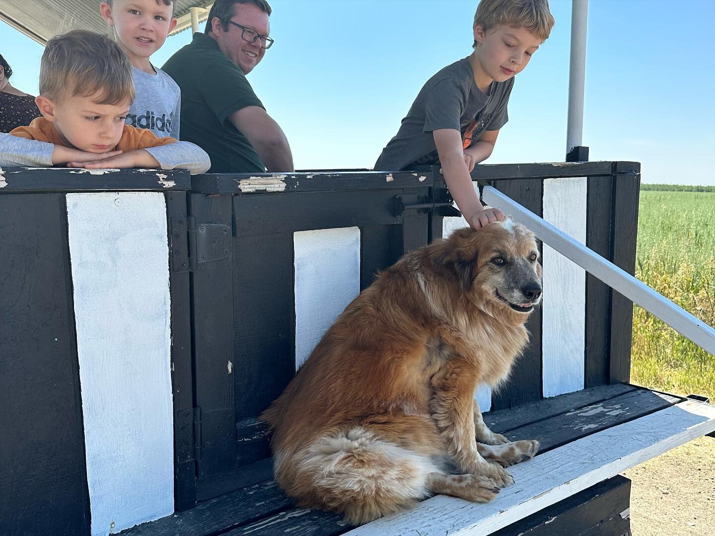 Oh Ruby, we love you so. Ruby (our loved farm dog) never wants to miss a single farm tour &hearts;️ #dog #doglife #rawpetfood #rawfarm #rawmilk #farm #farmlife #tour