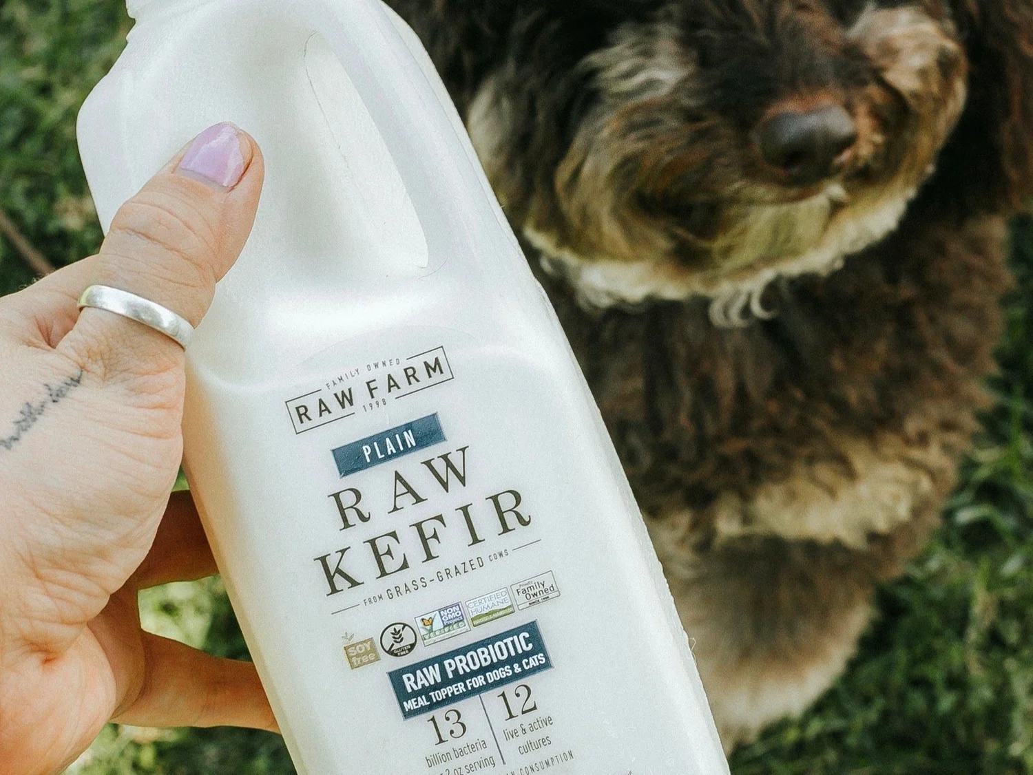 WHOLE RAW KEFIR PET FOOD — RAW FARM usa