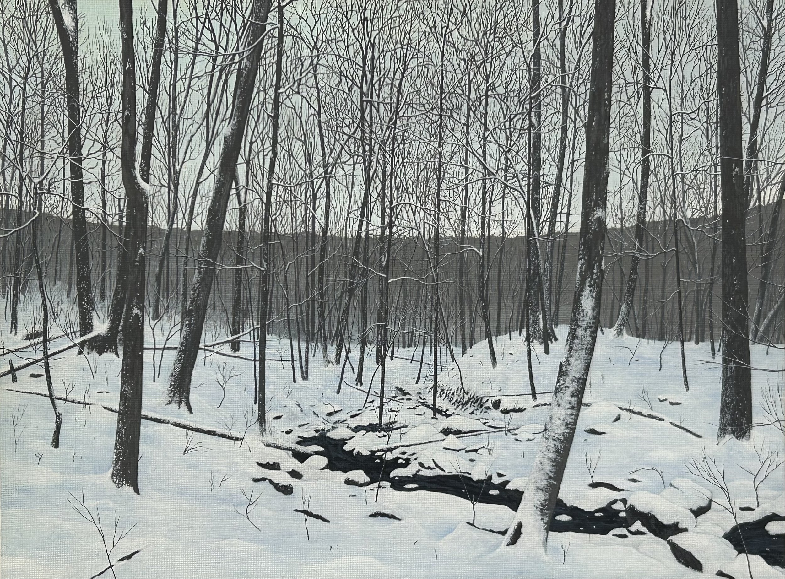 Shermans Valley.jpeg