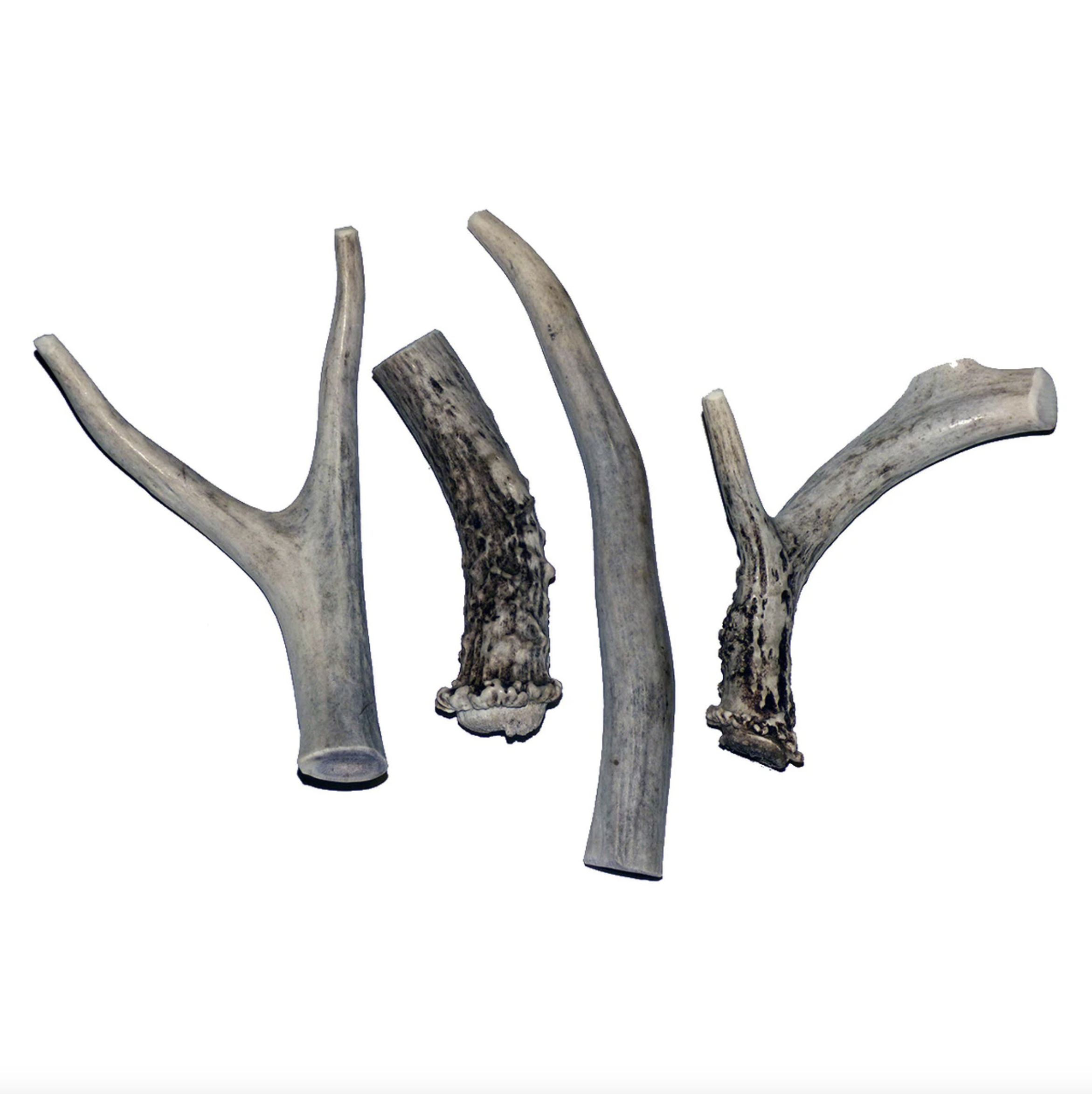 antler medium.png