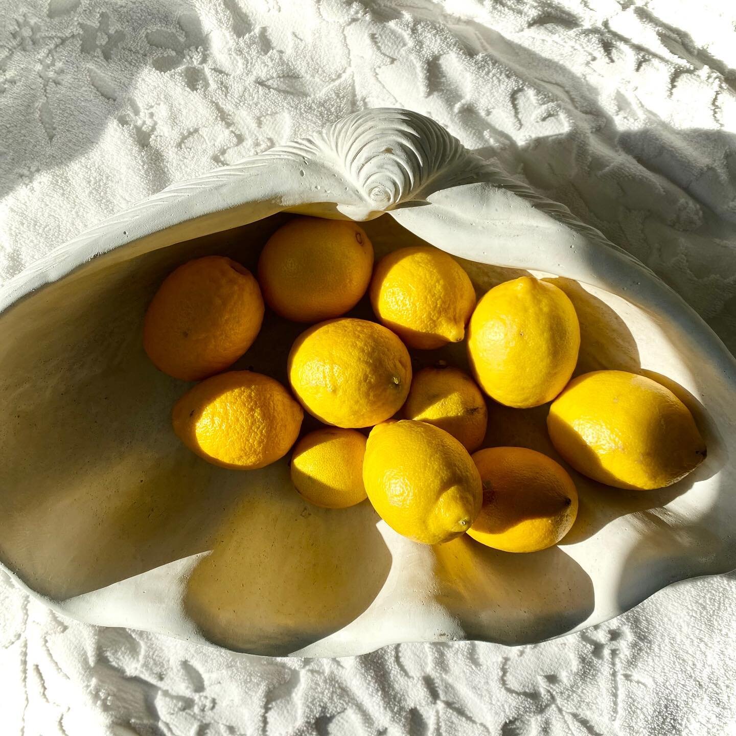 Is Vitamin C worth the hype (and sometimes price)? 🍋
New month new lesson 🔜 Read all  about Vitamin C on the blog tomorow ! 
#vitamincserum #theskinquestionnaire #skinscience #dermatologist