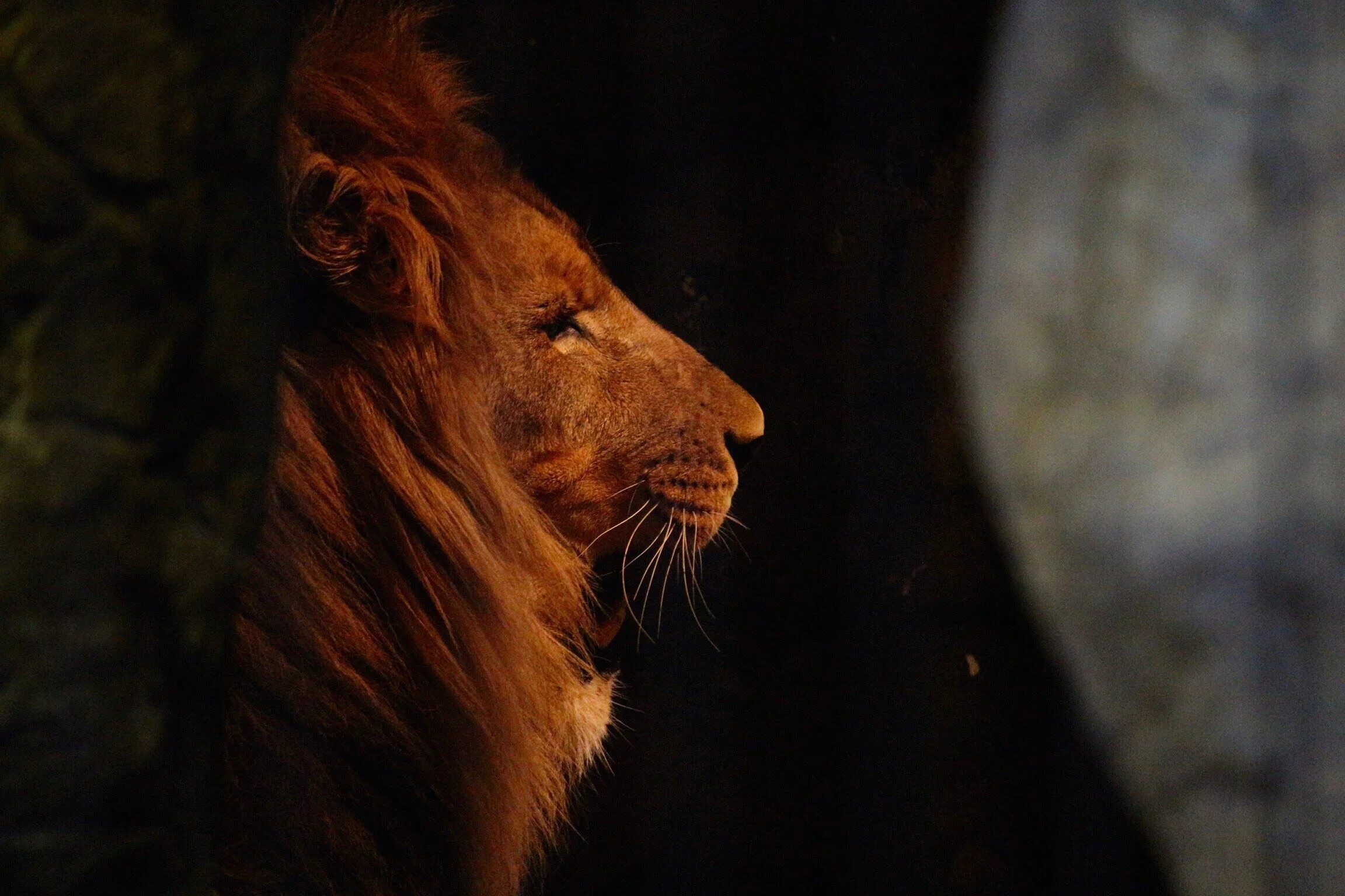 Lincoln Park Zoo - Chicago, IL