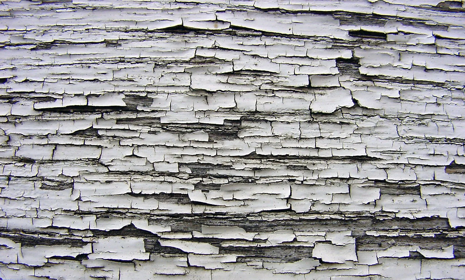 Close-up of chipping wall paint with lead.