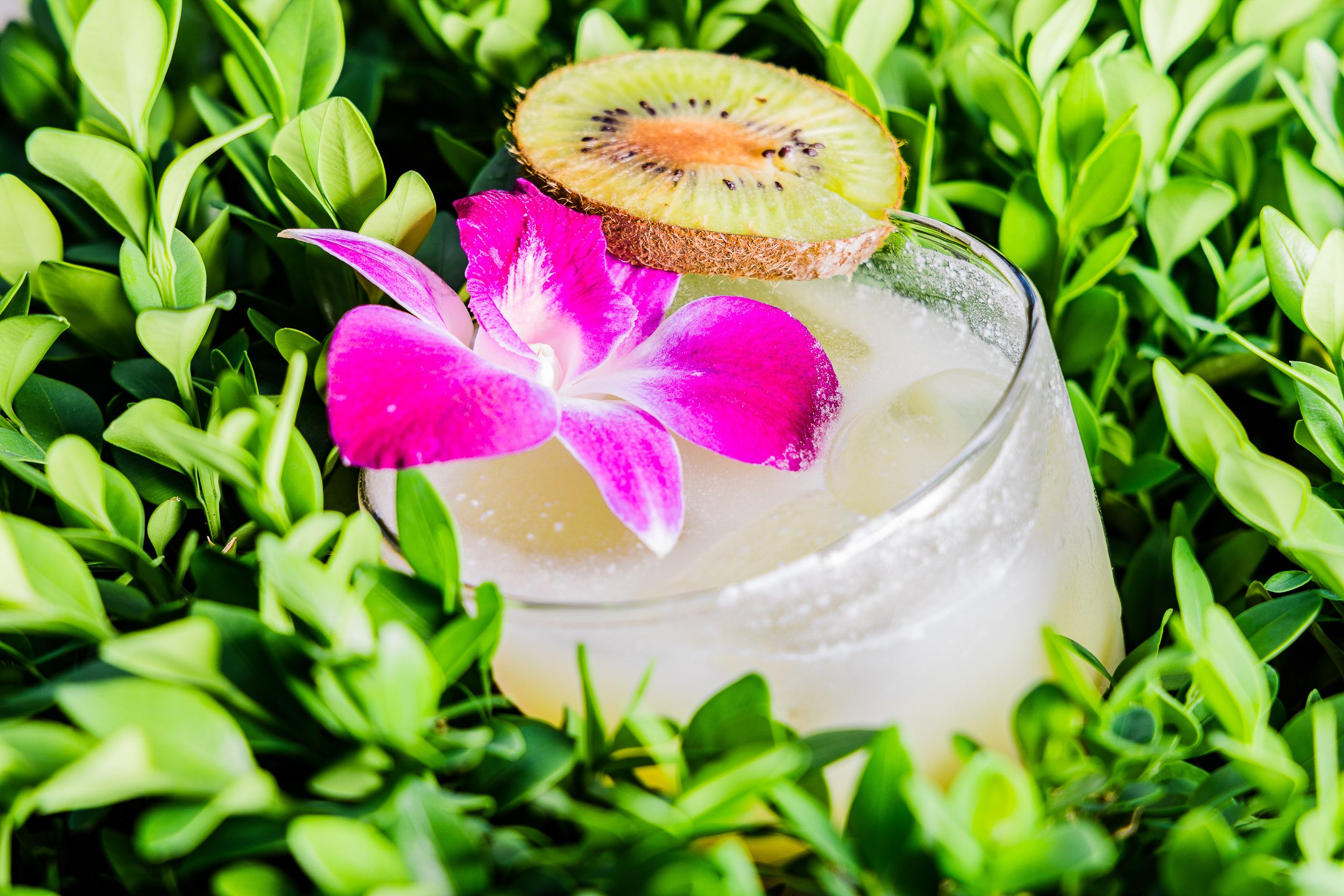 Elm_Drinks-32.jpg