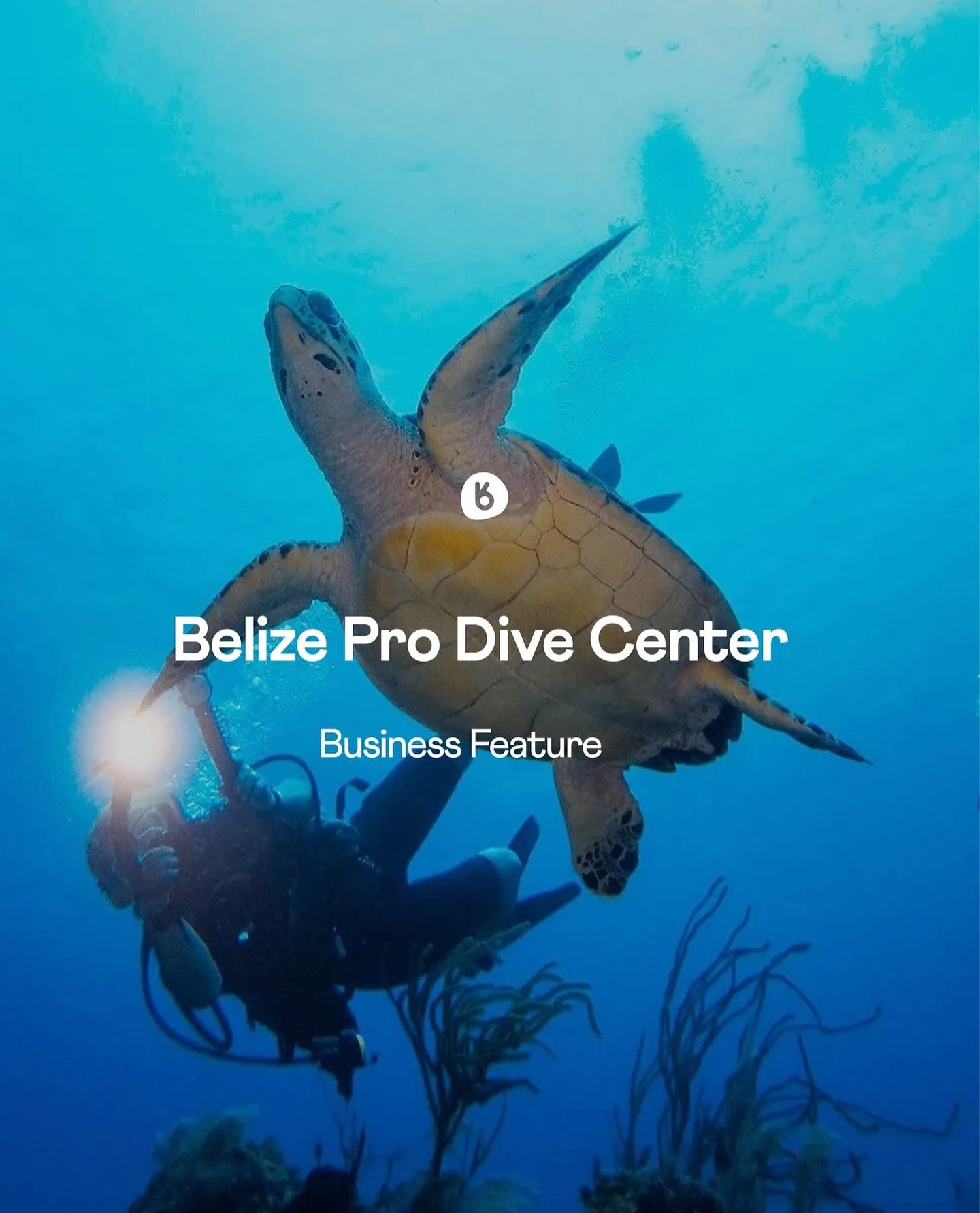 Dive into the magic of Belize with Belize Pro Dive Center! 🇧🇿 

Located in Ambergris Caye, this PADI 5-Star Dive Resort offers world-class training, epic dive excursions to the Blue Hole and Shark Ray Alley, plus snorkeling trips and conservation-f