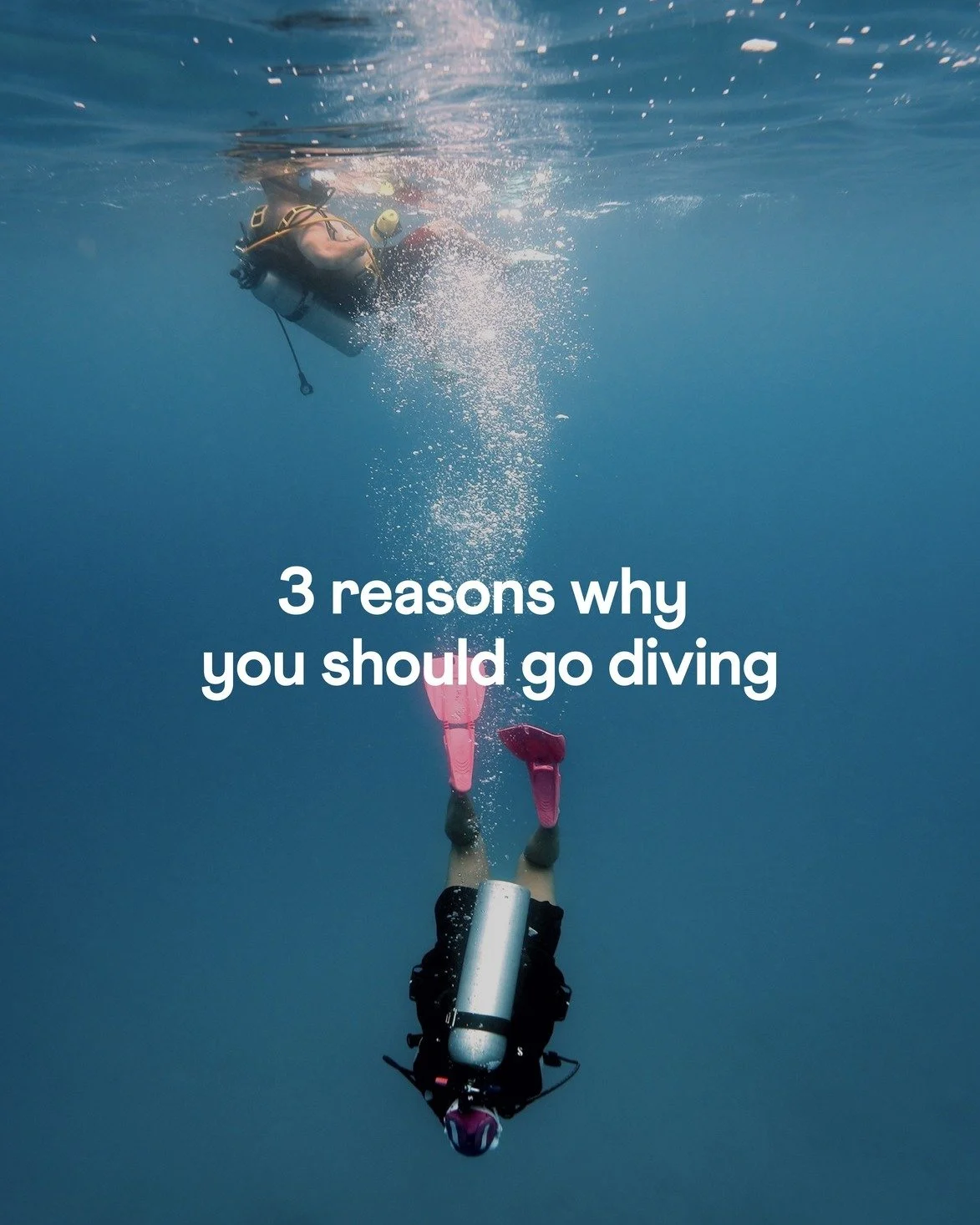 Warning: swiping on this post may result in&hellip;
🌊 booking your next dive
🤿 finding a new shop
👯&zwj;♂️ meeting your next dive buddy
Don&rsquo;t say we didn&rsquo;t warn you 😉

Link is in our bio to download the Buddy app 📲

#divewithbuddy #b