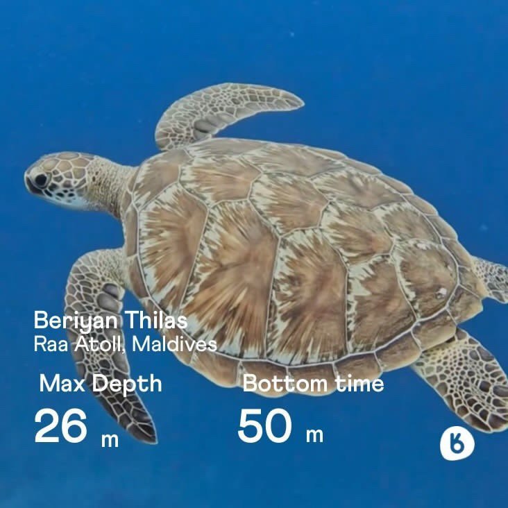 Share your adventures for all your buddies to explore.

Dive logs on Buddy can be customized with the &lsquo;Sharebuilder&rsquo; to easily share to your socials.

You can choose between your photos, satellite image of your site, or even Buddy backgro