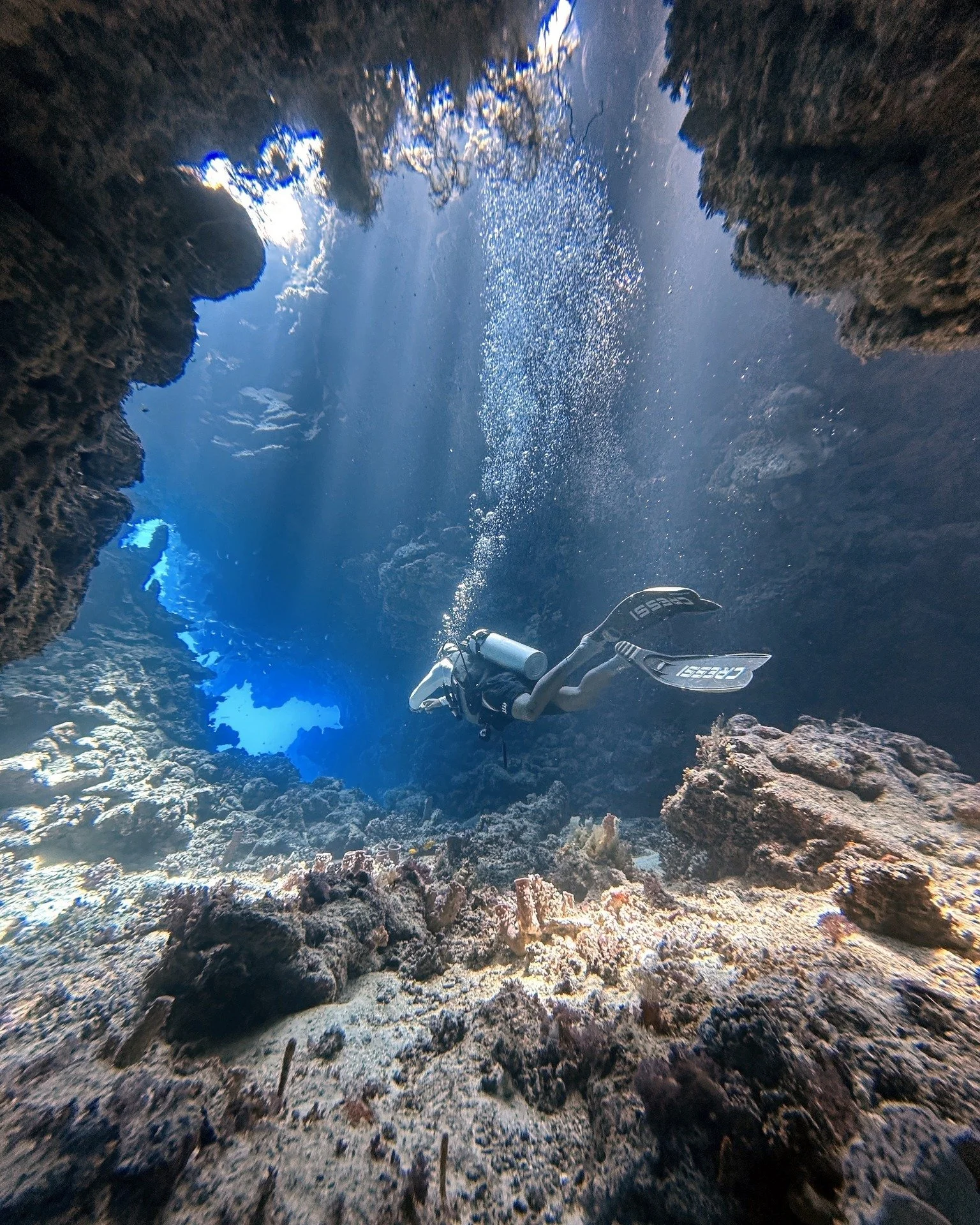 Swim-through adventurer 🐠 or open-ocean explorer 🐋?

Tag your dive buddy and tell us which one you are!
#divewithbuddy #divepersonality #underwaterfun