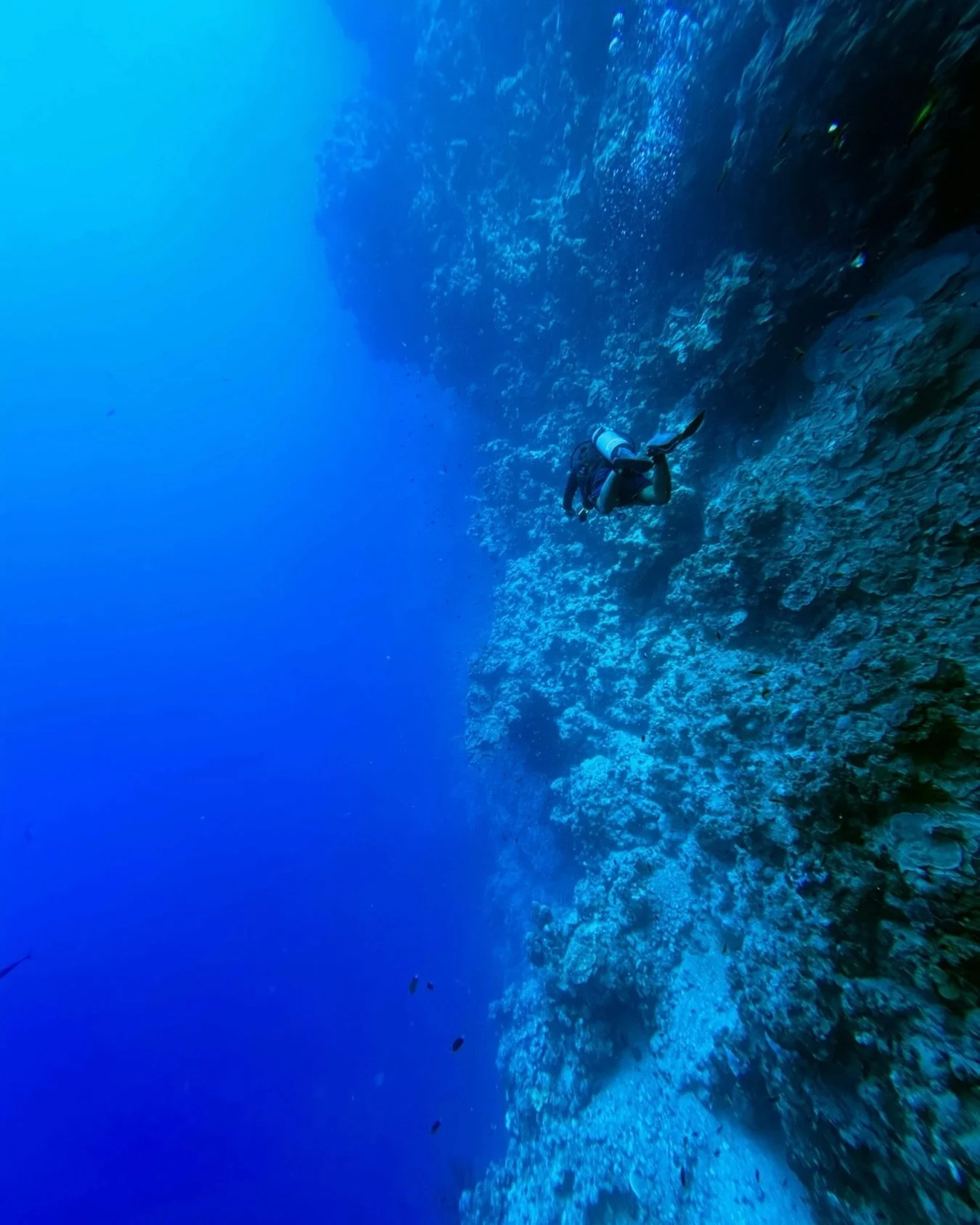 Welcome to the iconic Blue Hole, where the Red Sea drops into an underwater abyss of mystery and magic 💙🌊

Known as one of Egypt&rsquo;s most legendary dive sites, this natural sinkhole boasts vibrant coral walls, dramatic drop-offs, and the chance
