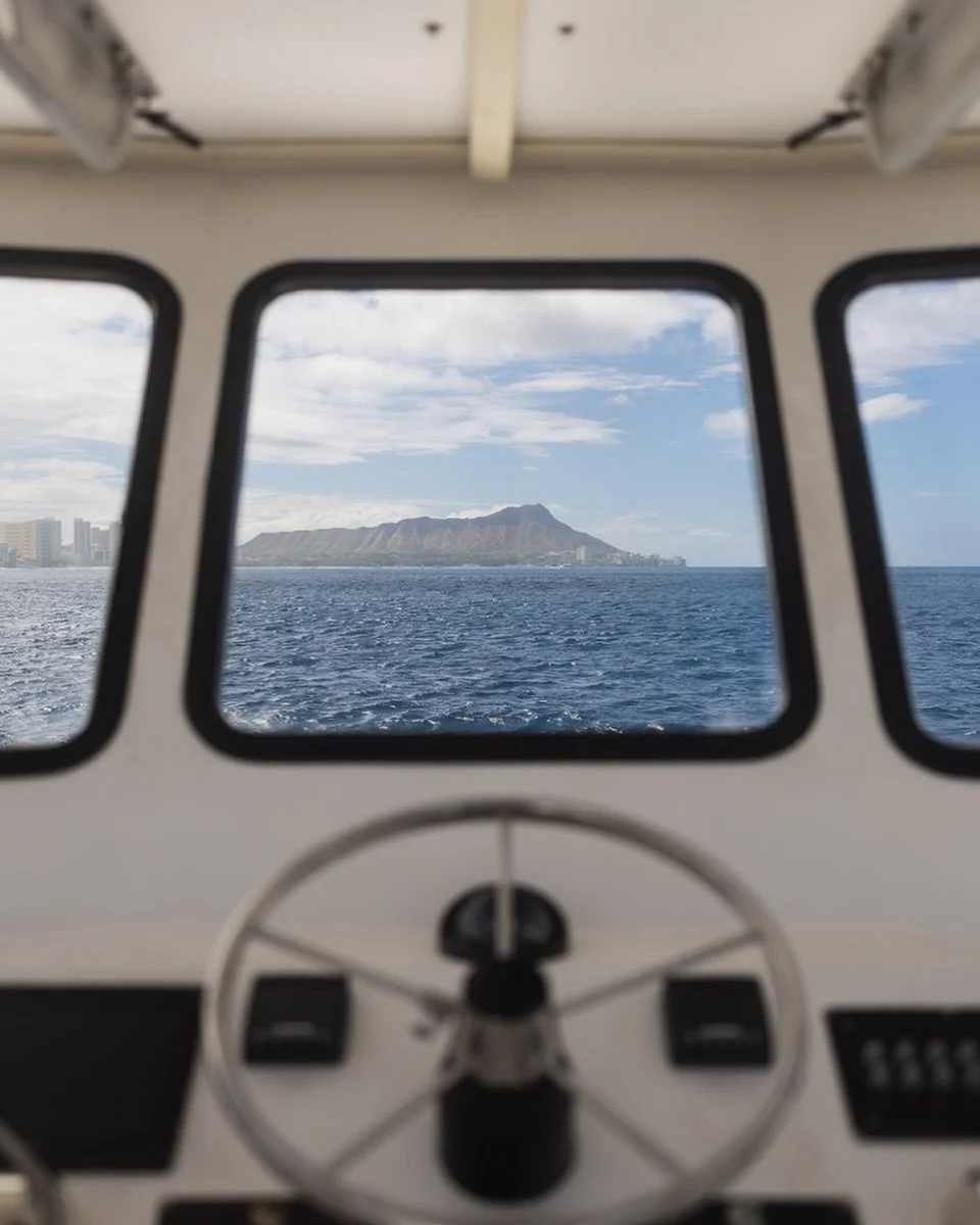 The only kind of views we&rsquo;ll accept for the rest of the year&hellip; maybe even all of next year too. 

One things for sure though, booking dives and catching these kind of views just became so much easier. 
📲 @bookwithbuddy 

#divewithbuddy #