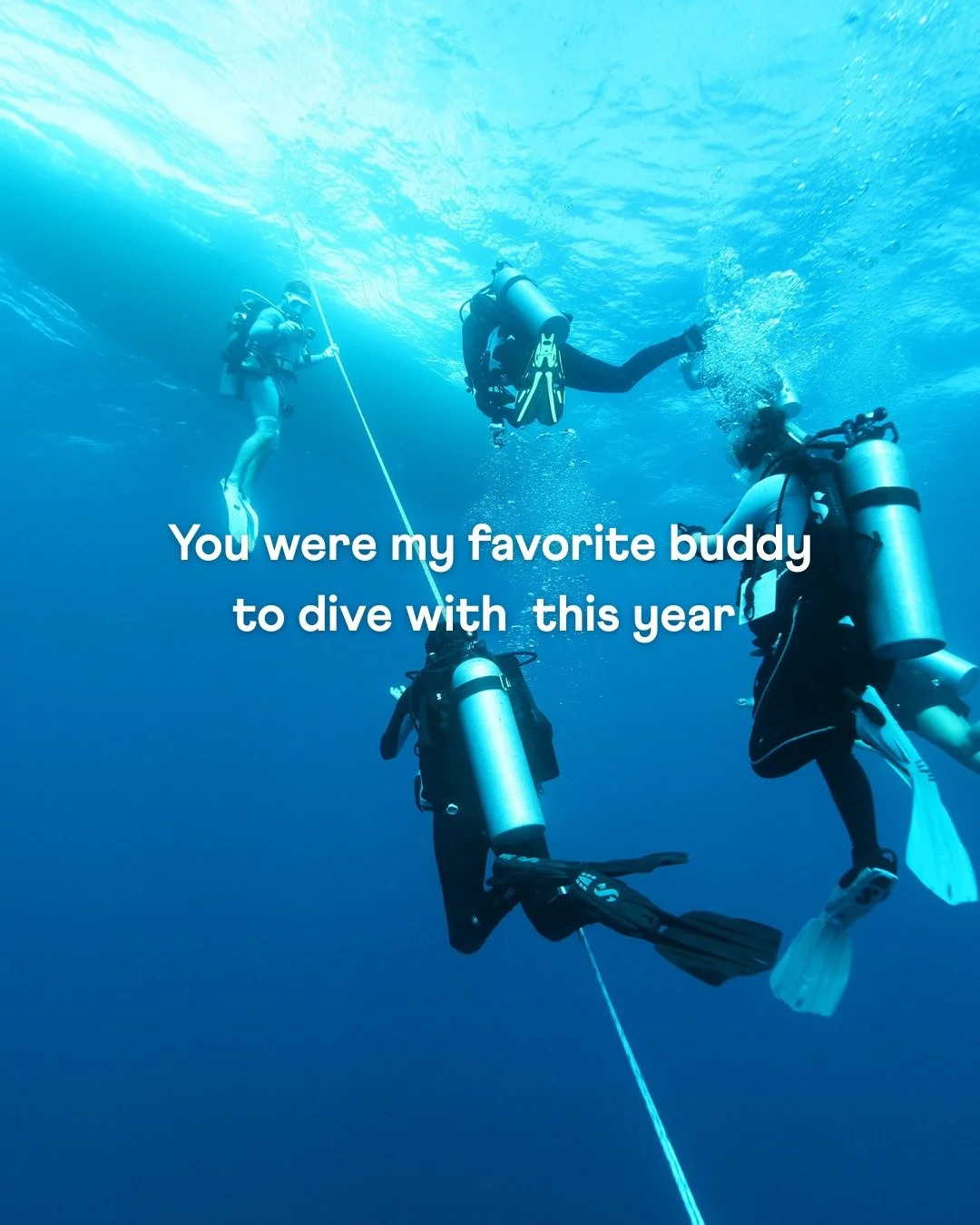 From reef to wreck, night dive to surface intervals.
Thanks for making every descent a little more magical. 
Here's to even more dives in the new year. 🐠✨ 

Send to your favorite dive buddy

#divewithbuddy #divebuddies #scubadiving #oceanlife