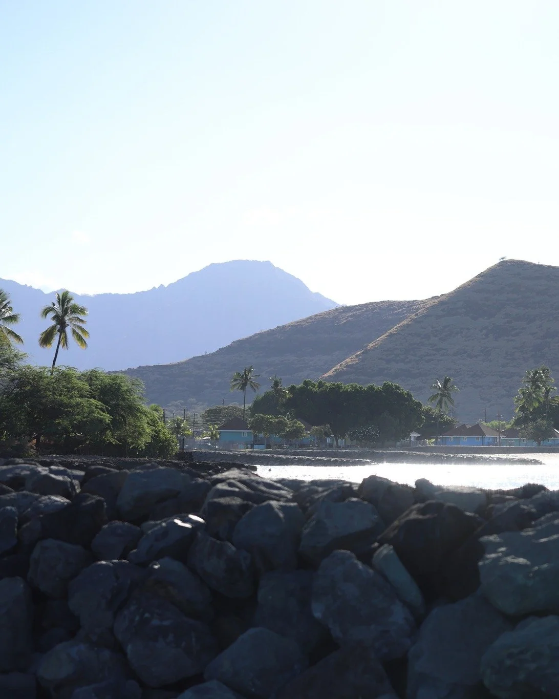 West side, best side 🌊
Introducing Dive Oahu&rsquo;s newest dive charter out of Waianae.  Where crystal-clear waters meet unreal scenery and good vibes all around.

From boat laughs to breathtaking reefs, this crew knows how to do diving right and p