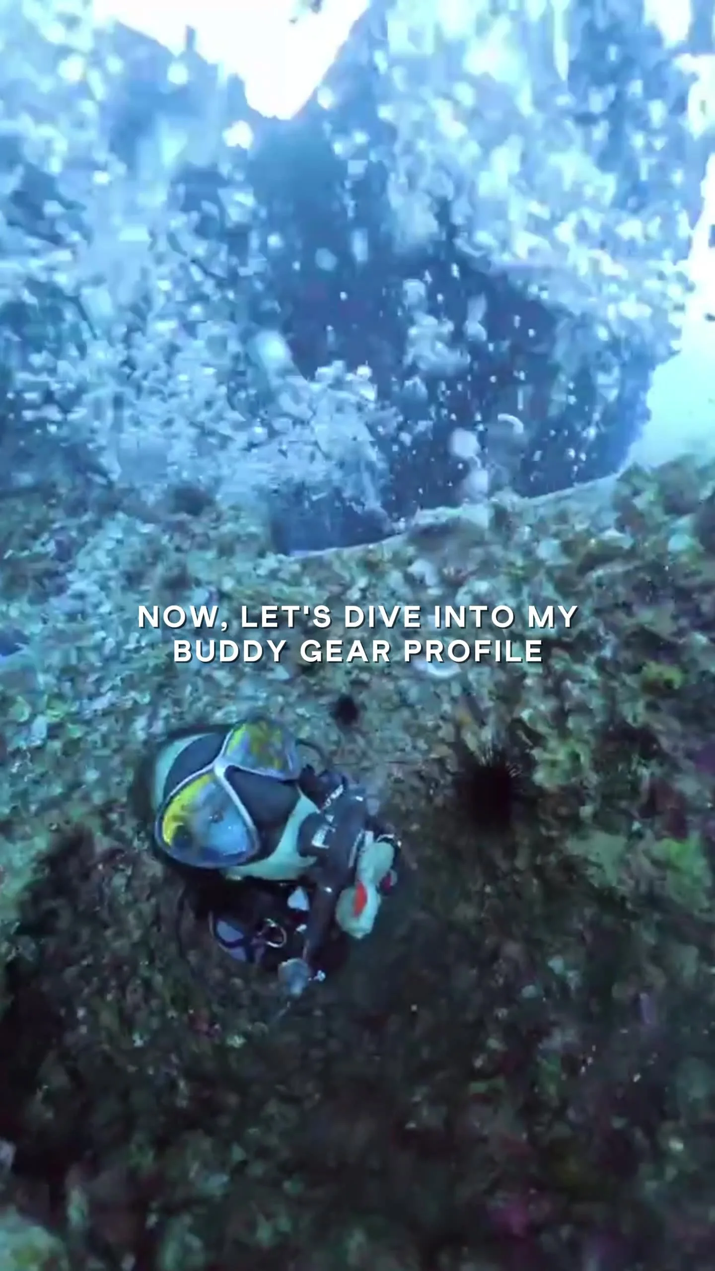Underwater scene with a diver's gear, including a camera and a wetsuit, next to a coral reef, with text overlay: 'Now, let's dive into my buddy gear profile.'