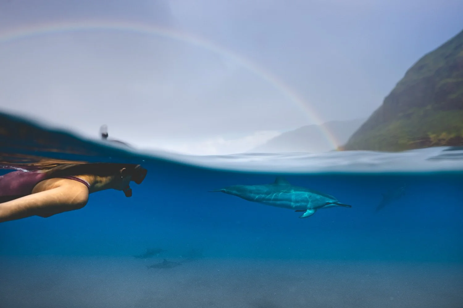A person snorkeling in the ocean with a dolphin swimming nearby, a rainbow in the sky, and a mountainous landscape in the background.