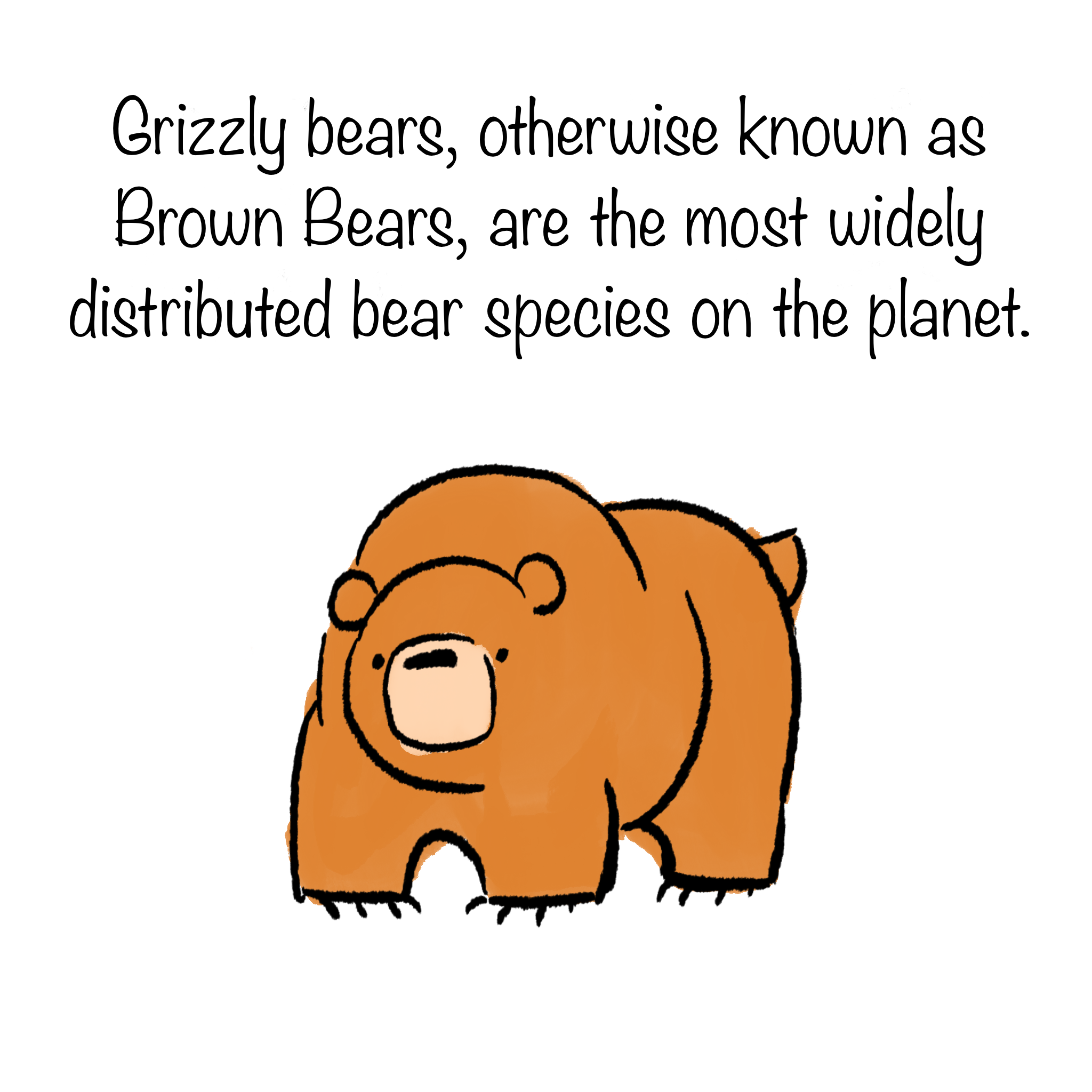BearComic_02.png