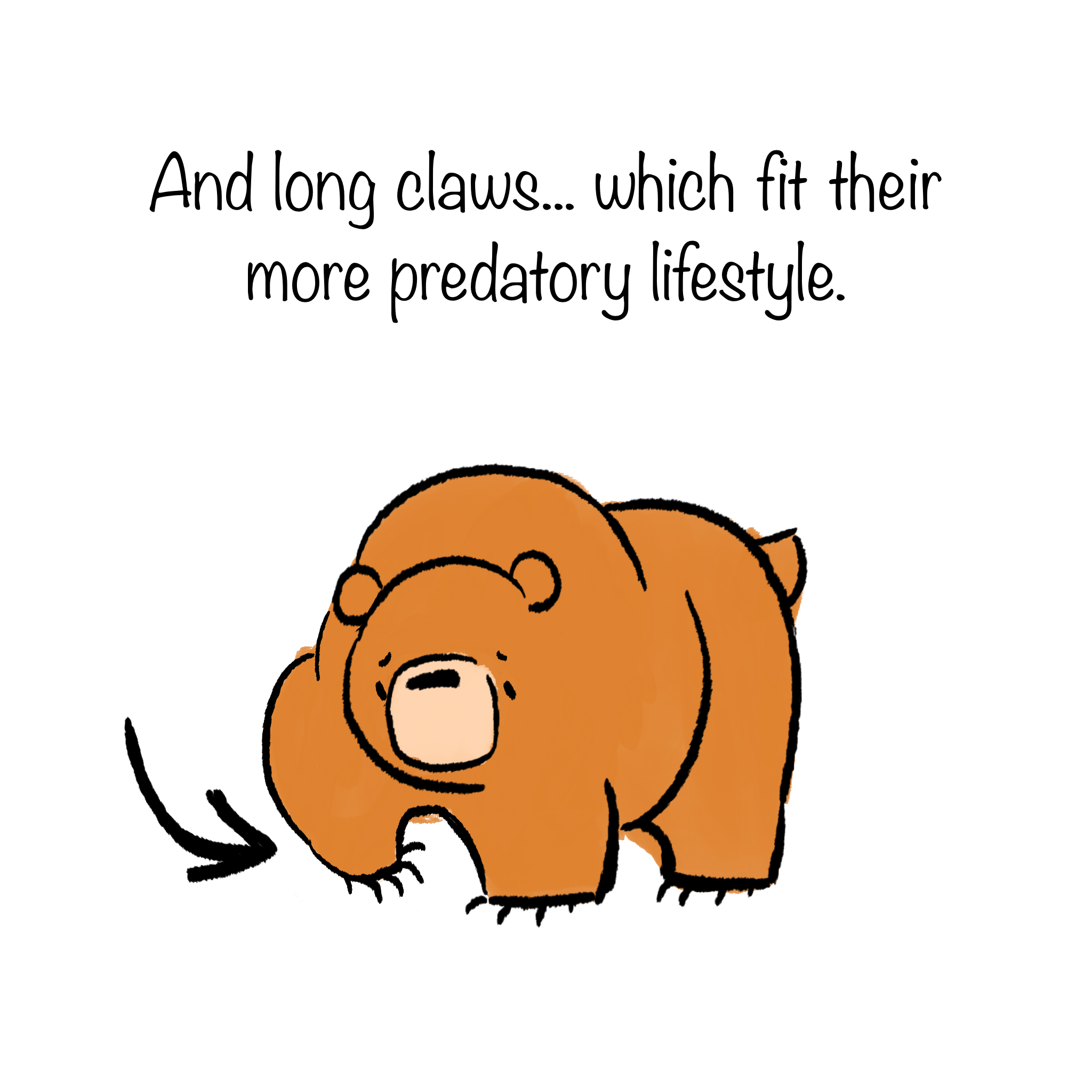 BearComic_04.png