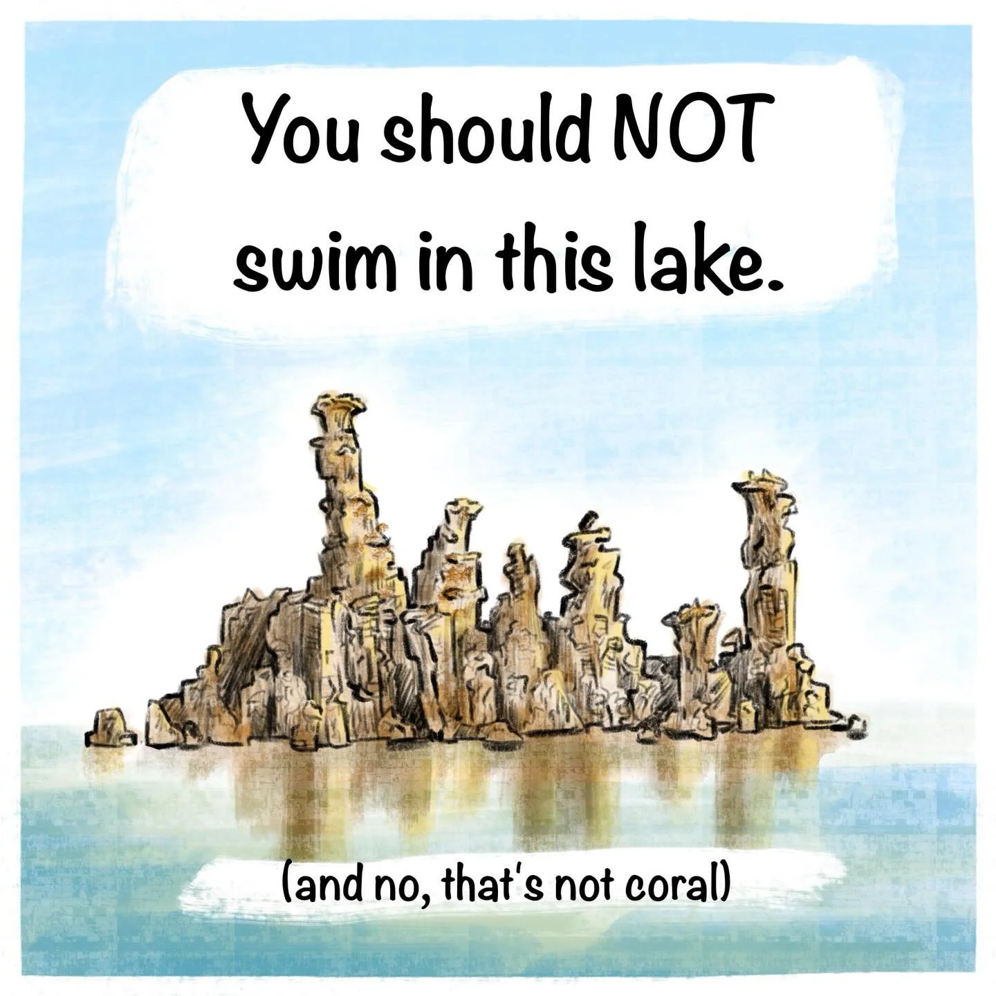 Love your weird lakes! ⛰️🦐 Made this little comic for fun after some recent visits up north.
#scientificillustration #nationalparkservice #monolake #comic #brineshrimp #illustration
