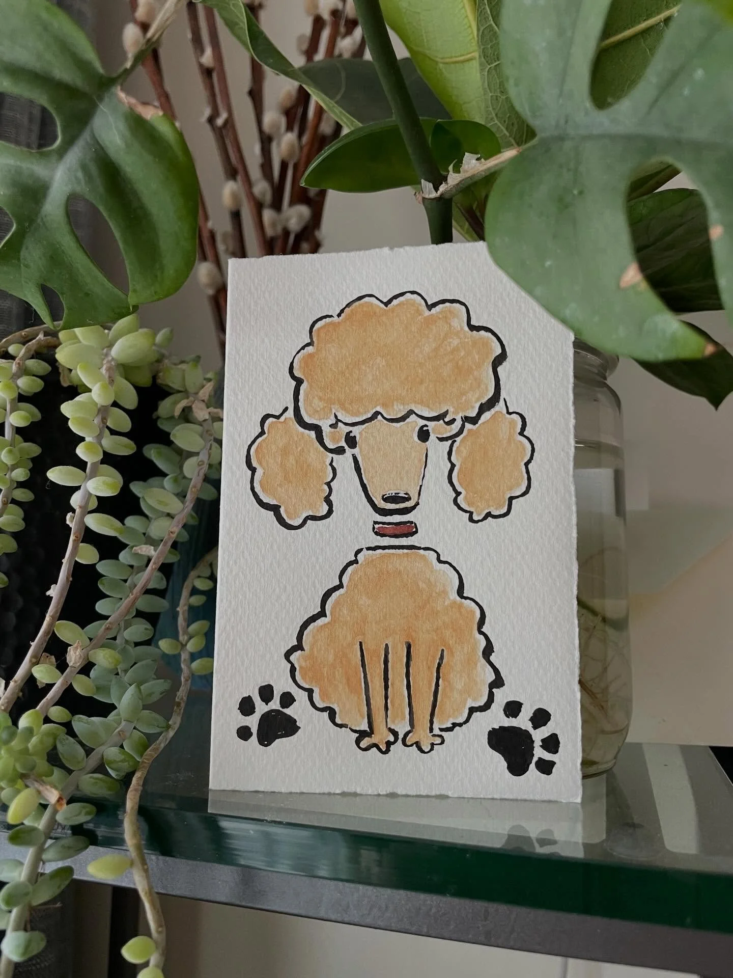 Pet portrait card of Eliza Doolittle (aka Dooey)
#illustration #petportrait