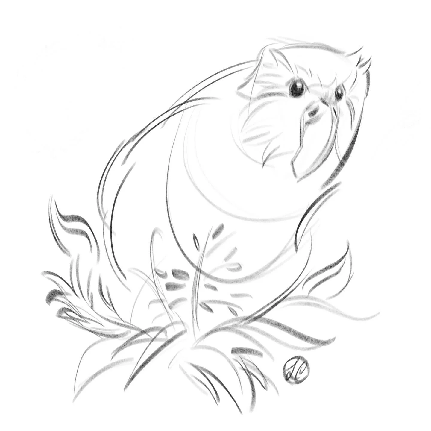 You go Kākāpō 🦜

#sketch #kākāpō #procreate #illustration