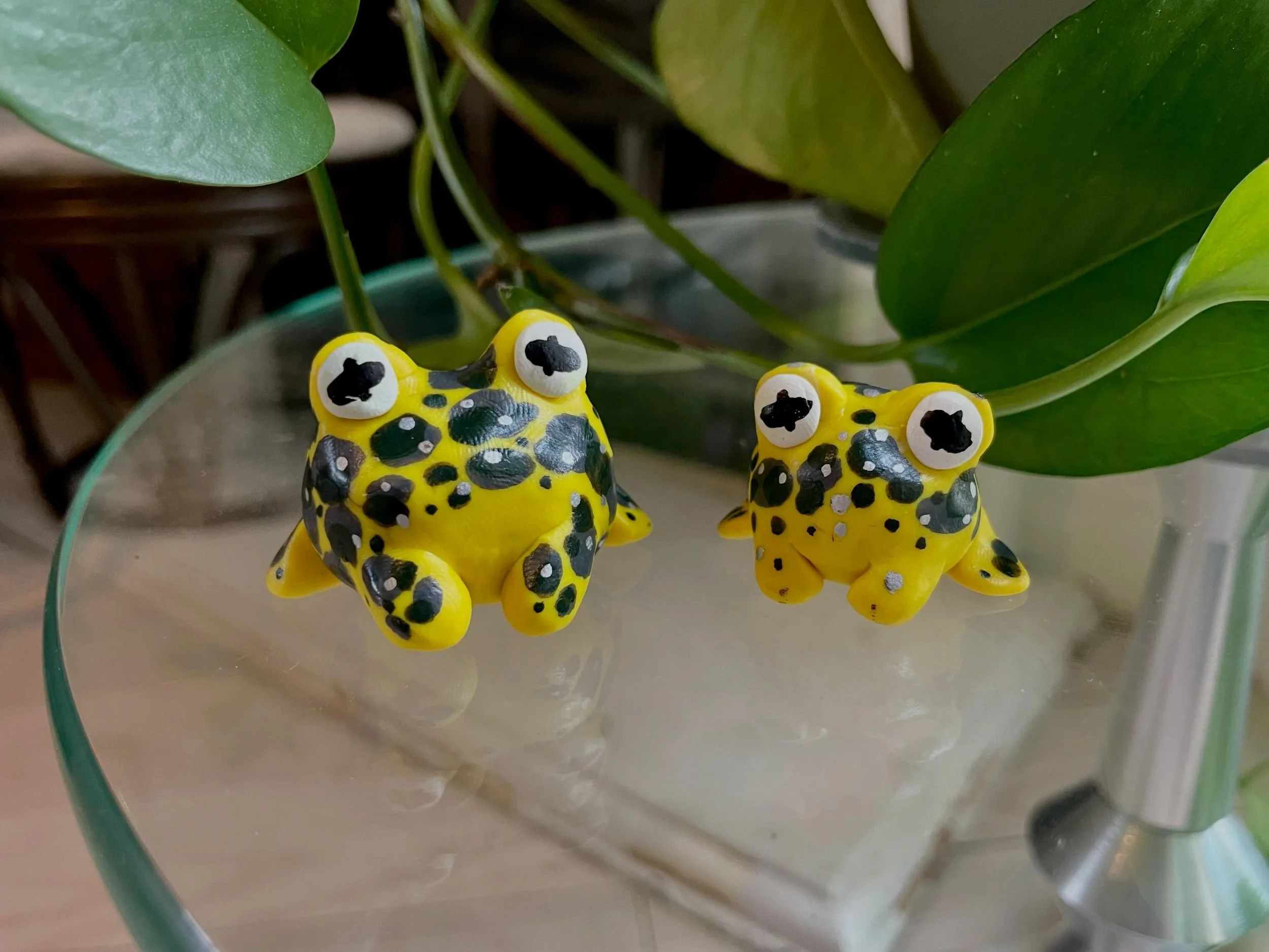 I&rsquo;m continuing my polymer clay adventures with endangered Mountain yellow-legged frogs! These guys are native to California and are commonly found in the Sierra Nevada Mountains. Their Latin name muscosa translates to &ldquo;full of moss&rdquo;