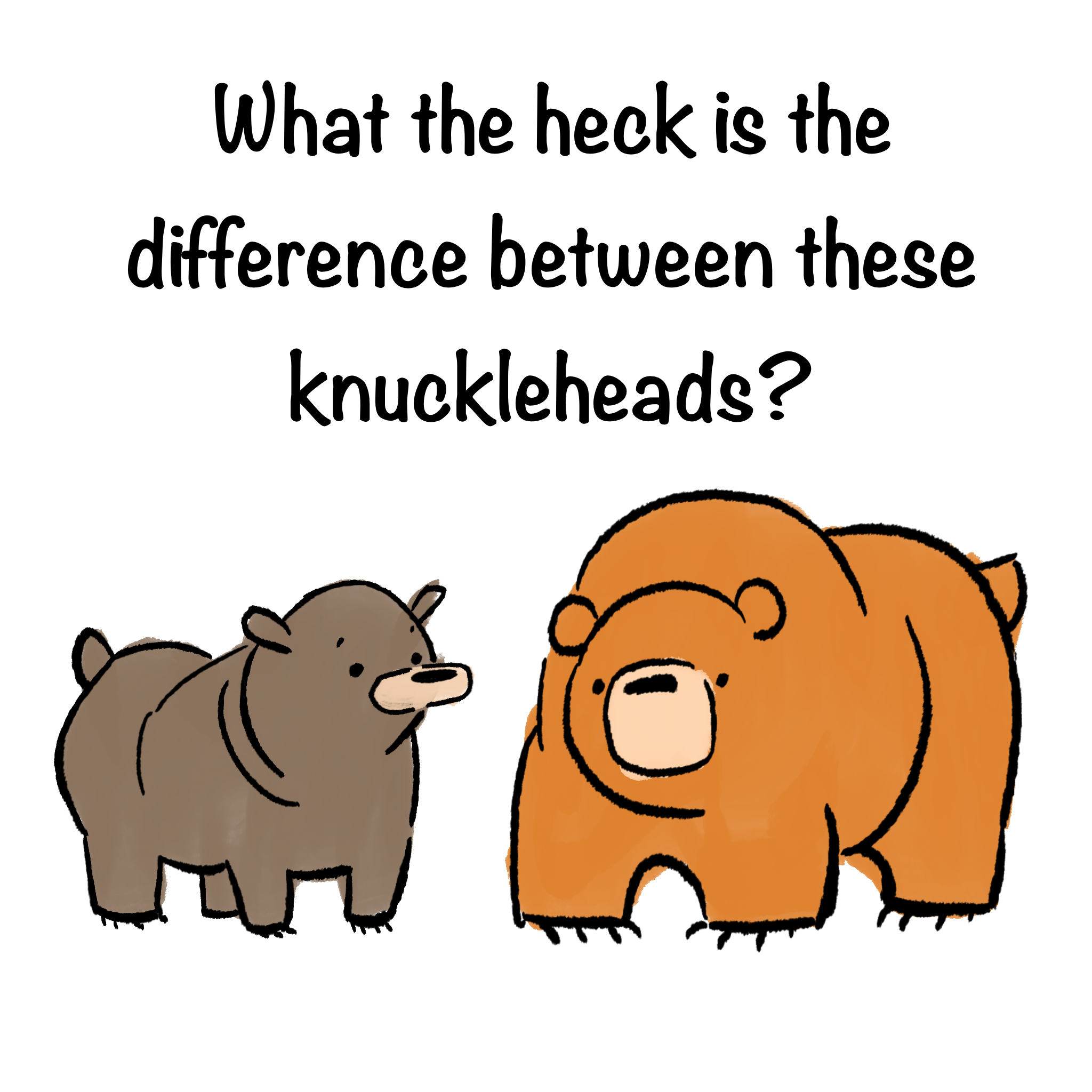 BearComic_01.png
