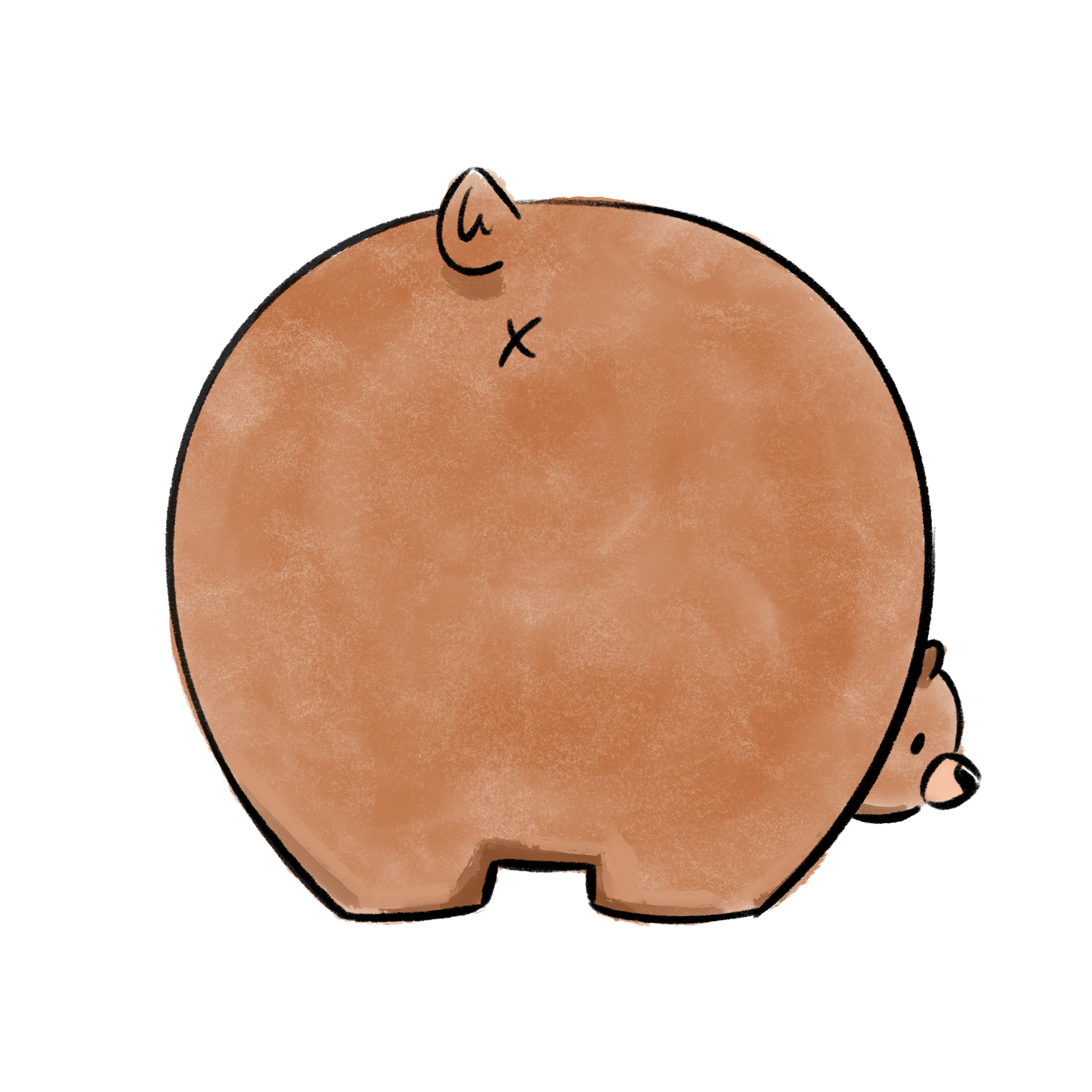Pg_005.png