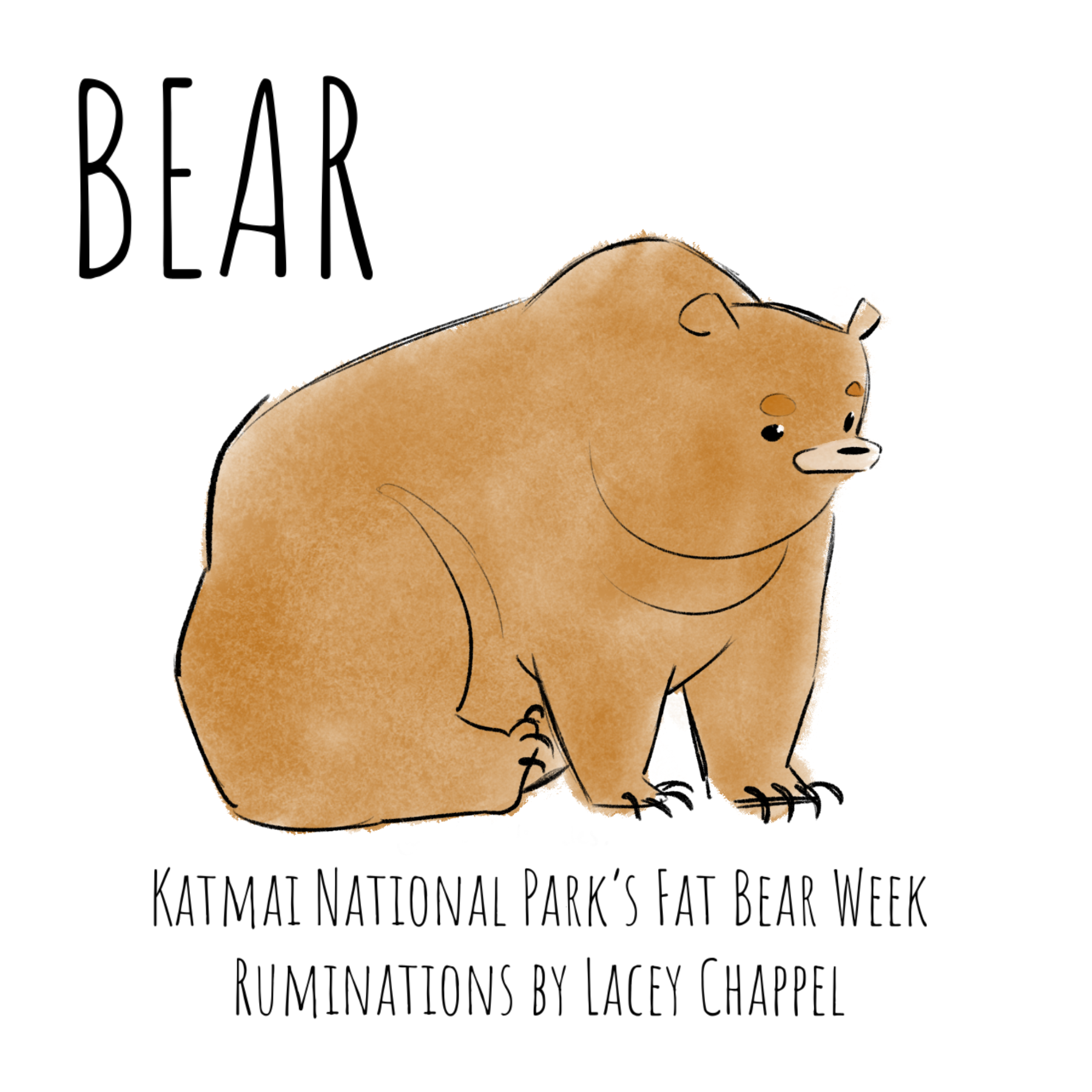 Bear Booklet Cover (sold at art markets)