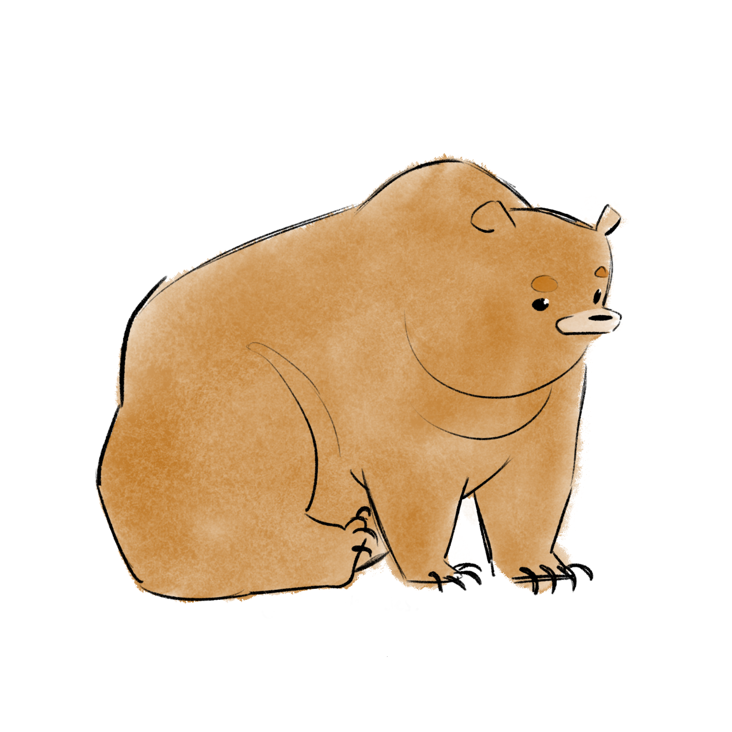 Pg_007.png