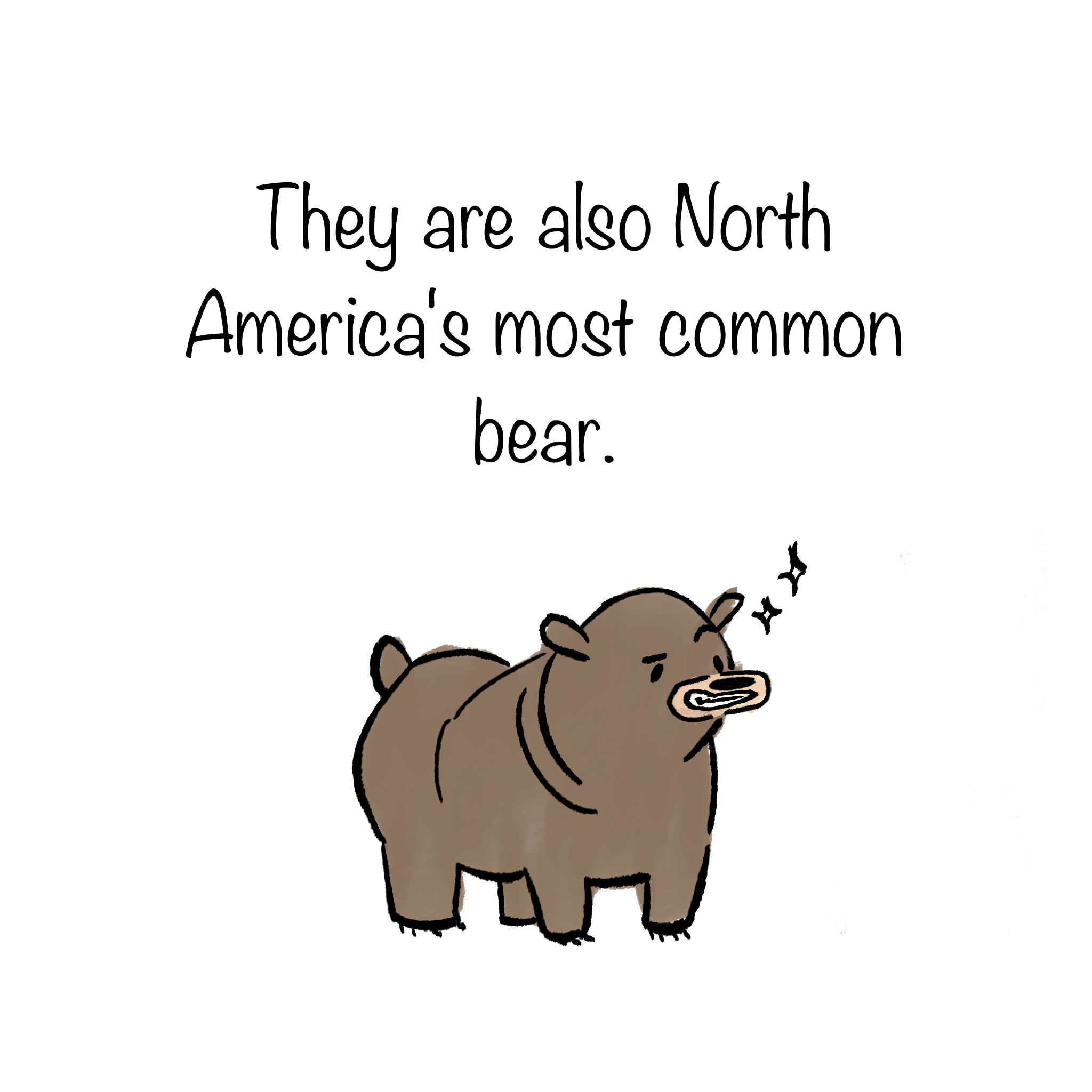 BearComic_09.png